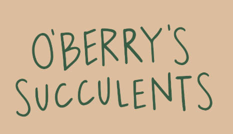 O'Berry's Succulents