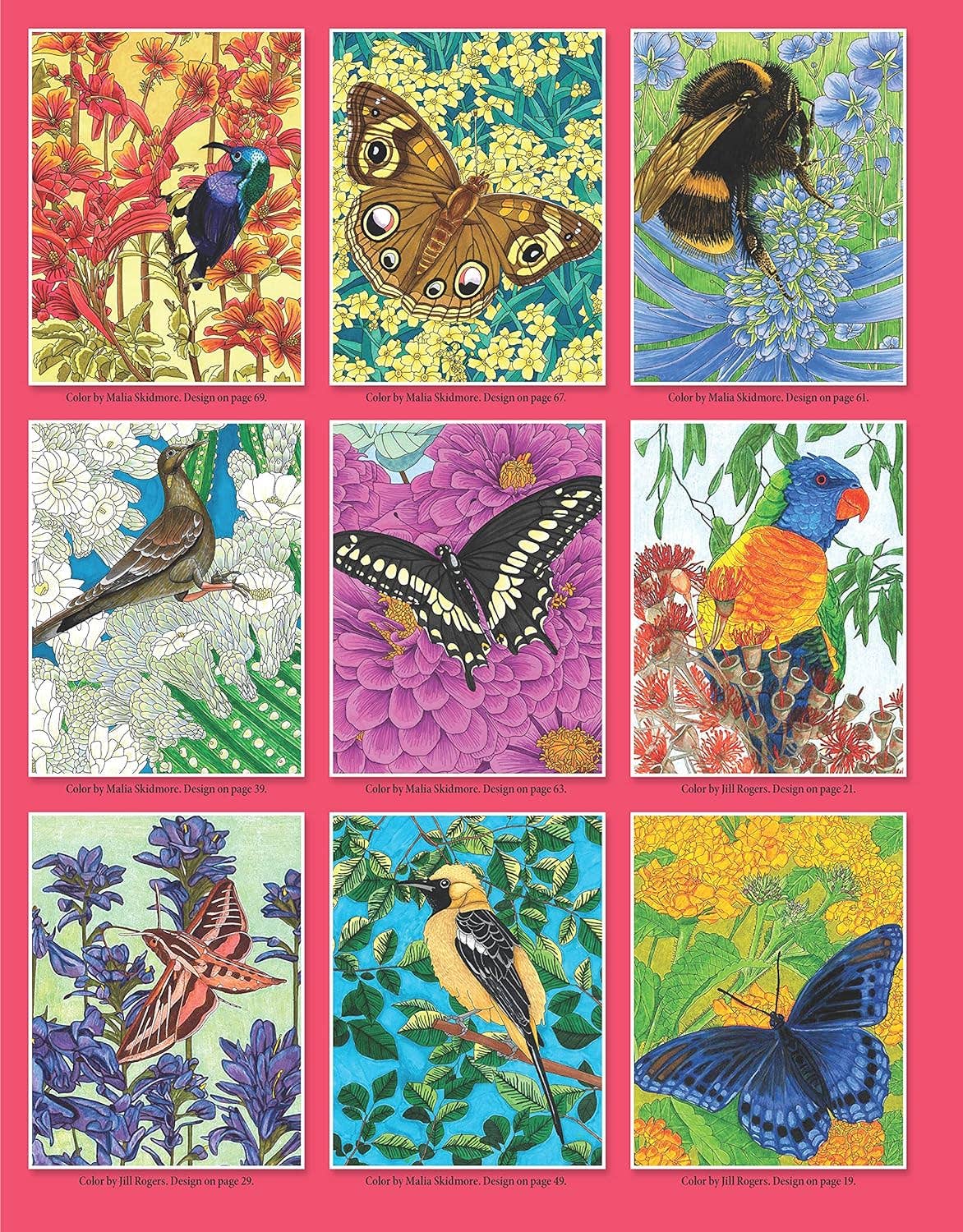 Birds, Butterflies and Bees - A Pollinator Coloring Book