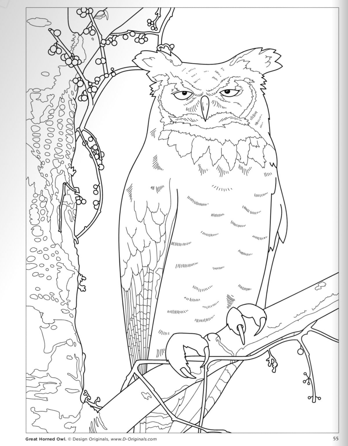 Birds at Home Coloring Book