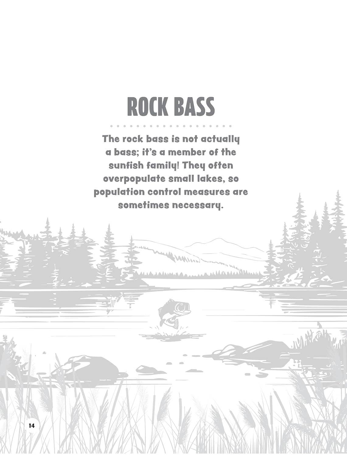 Freshwater Fish of Michigan Coloring Book