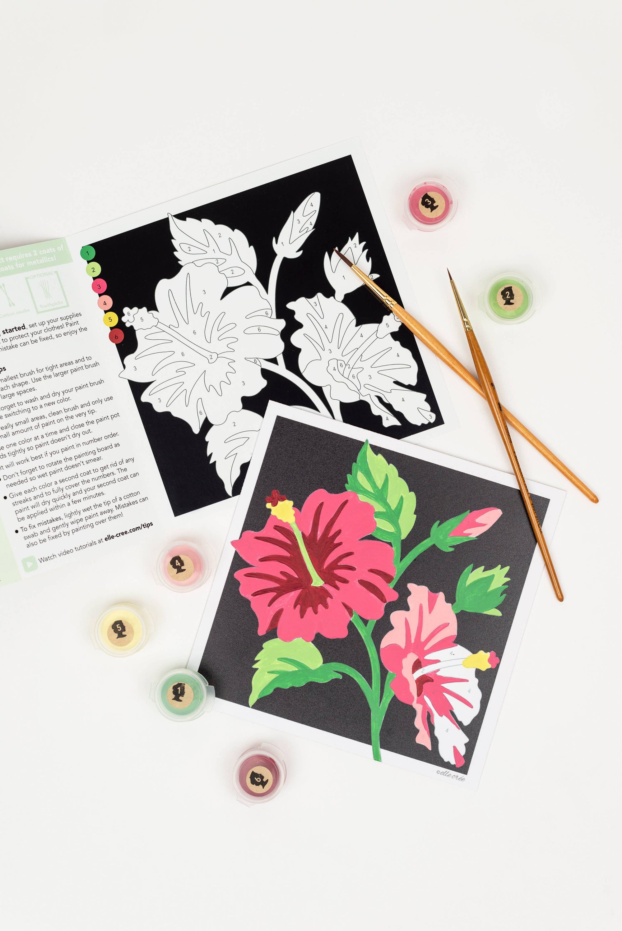 Hibiscus MINI Paint-by-Number Kit