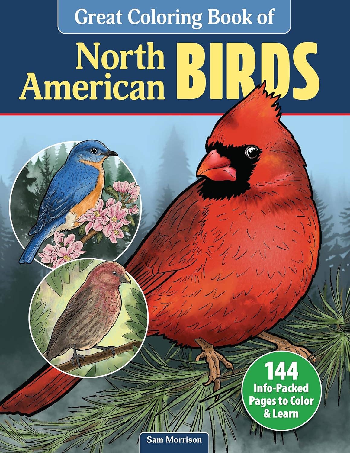 Great Coloring Book of North American Birds-144 Packed Pages