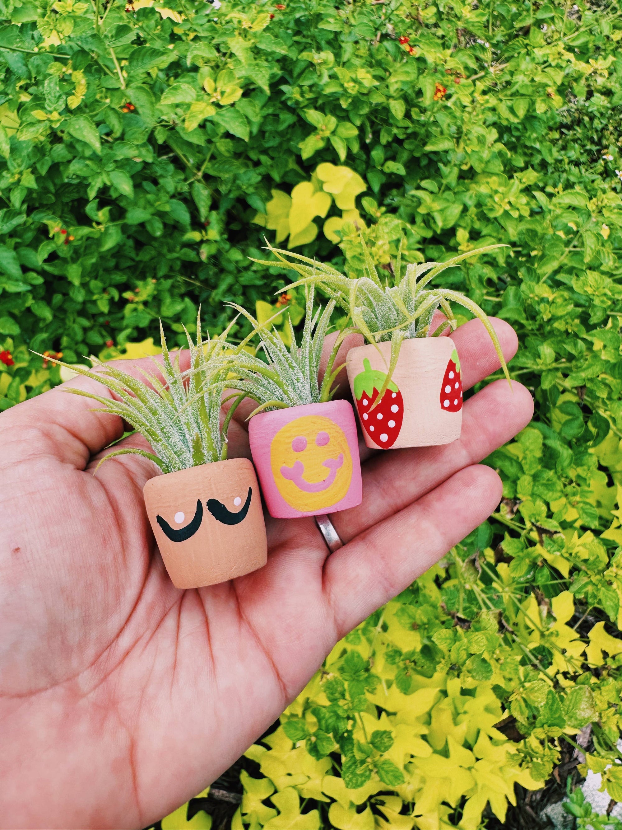 Boob Pot Mini Plant Pot with Plant