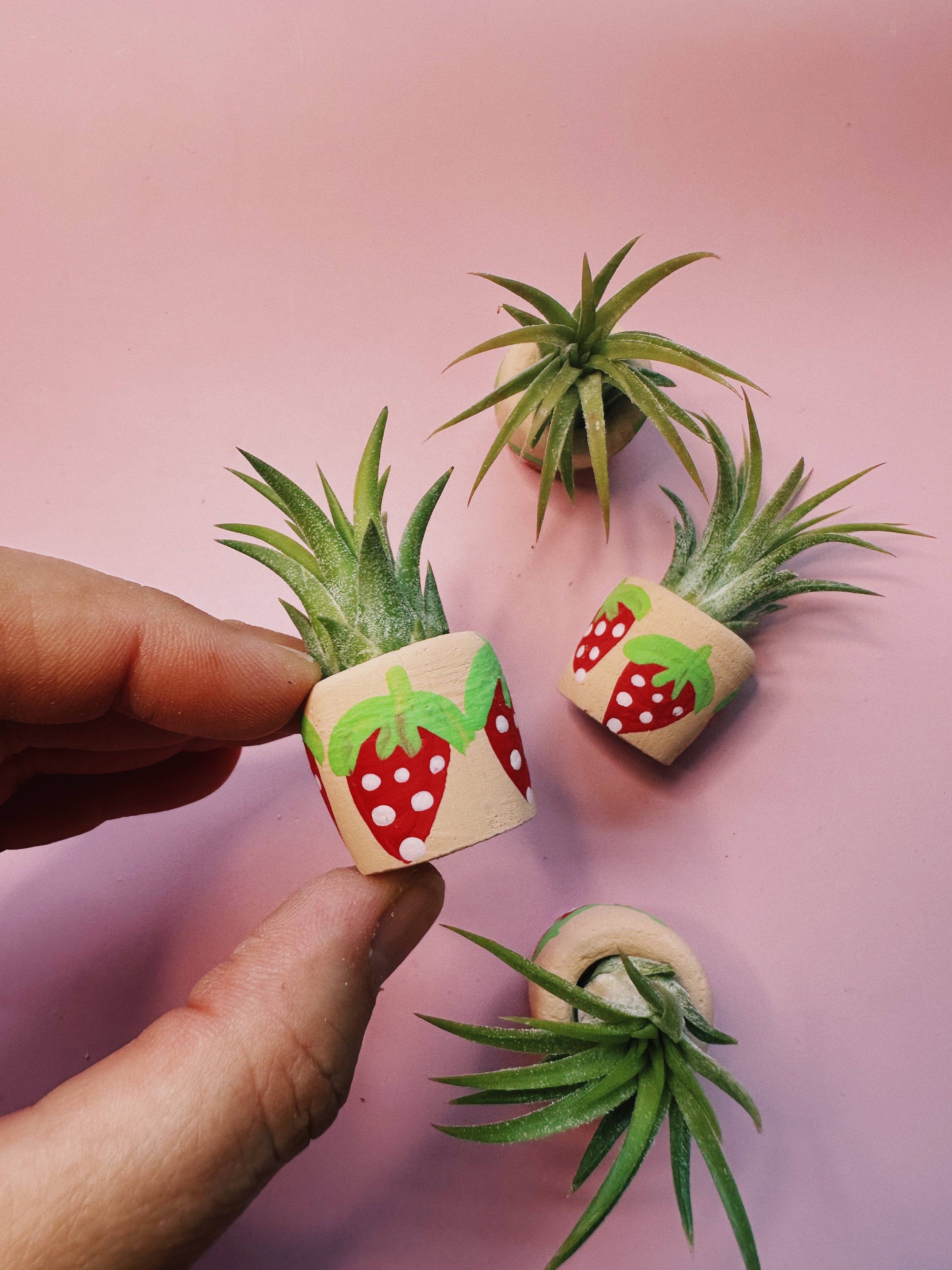 cute plant pots painted Berry Cute Mini Plant Pot with Plant