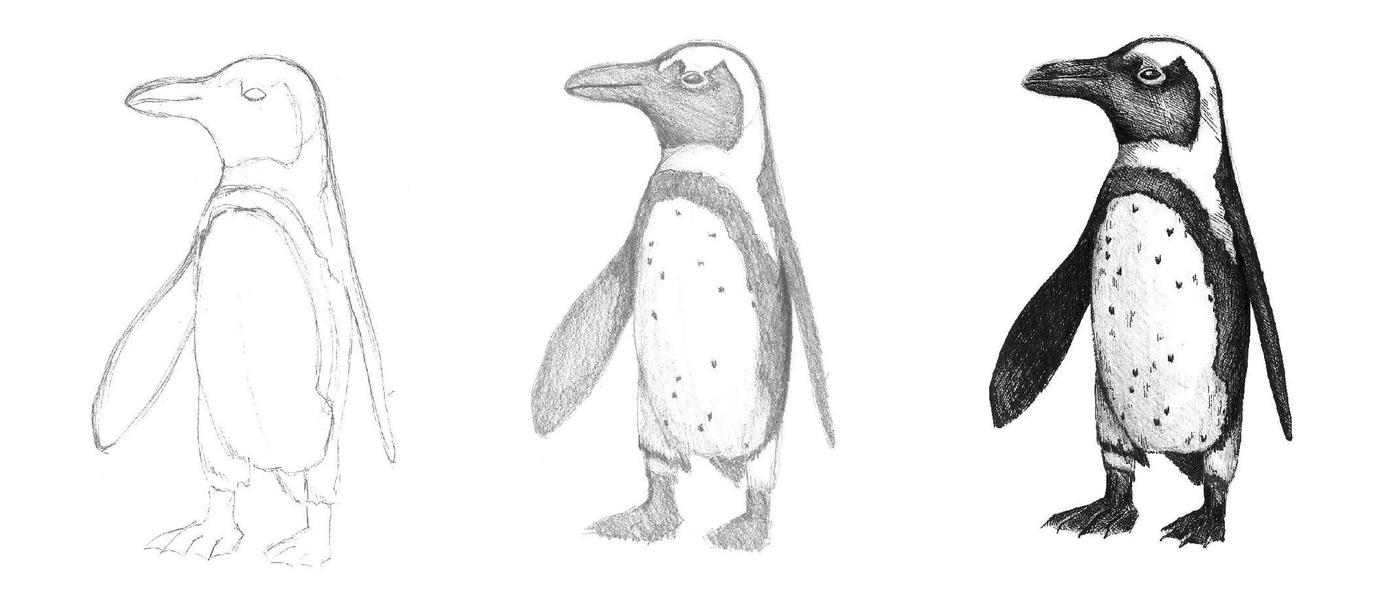 Do Art Drawing &amp; Sketching