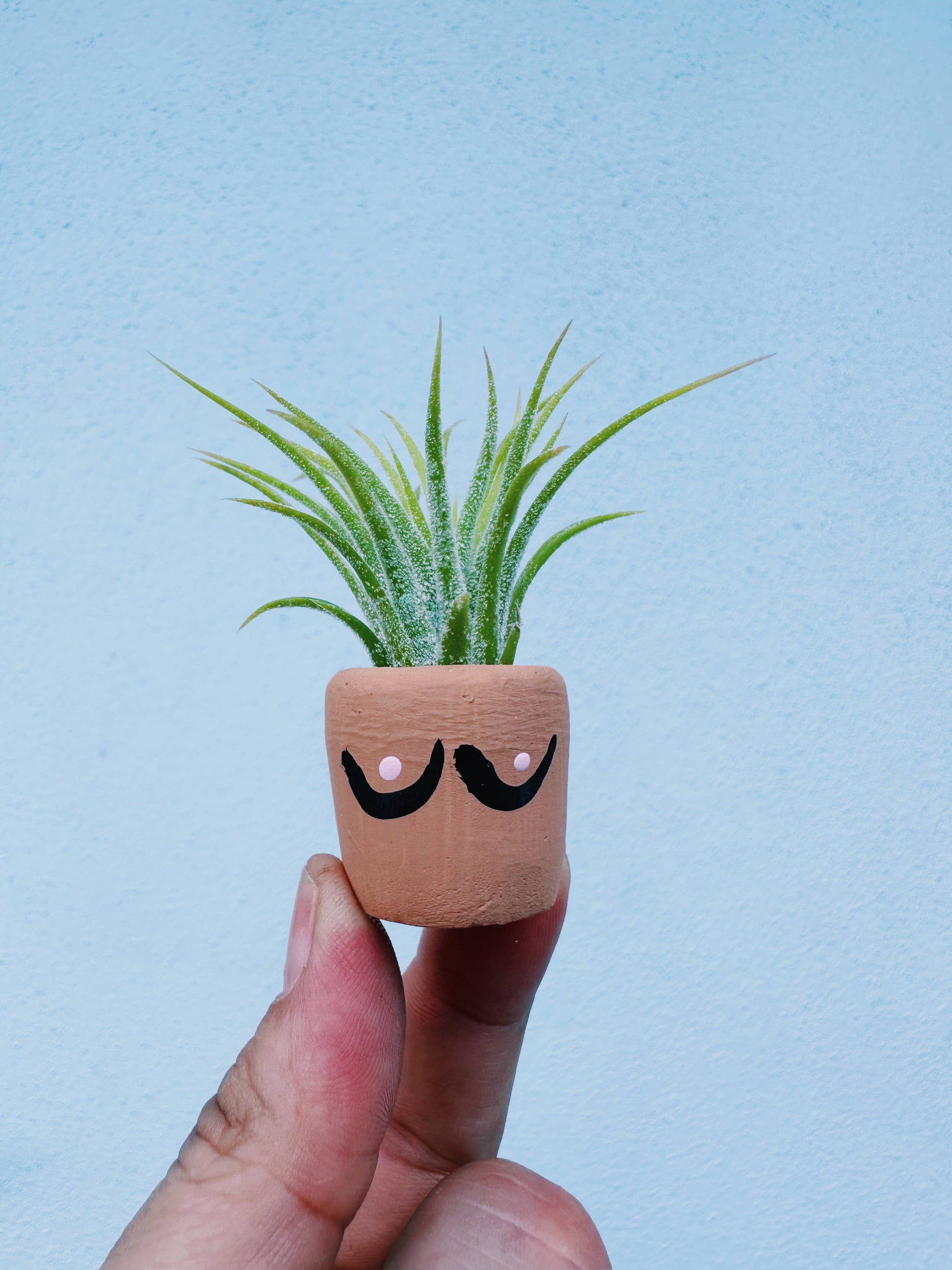 Boob Pot Mini Plant Pot with Plant