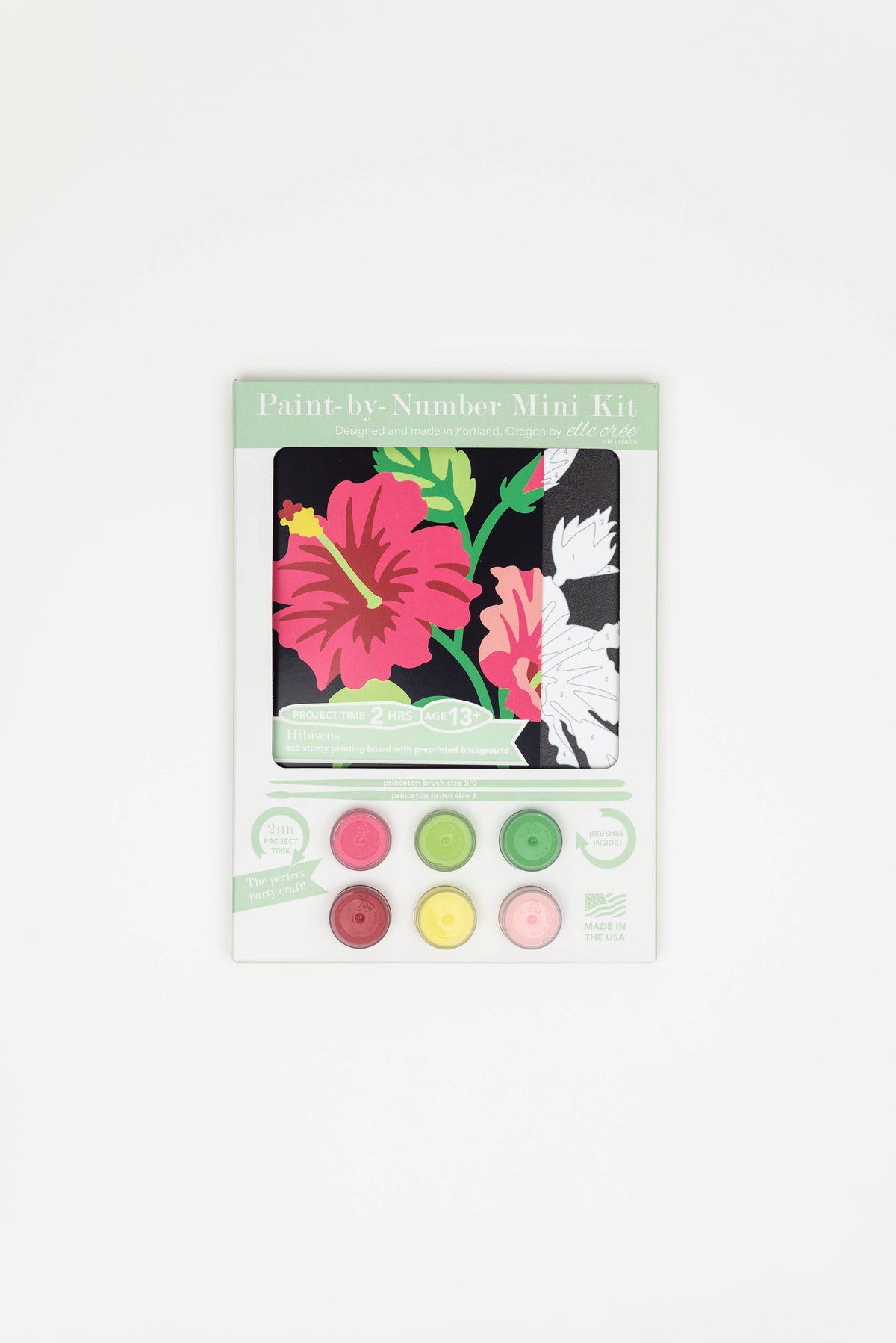 Hibiscus MINI Paint-by-Number Kit