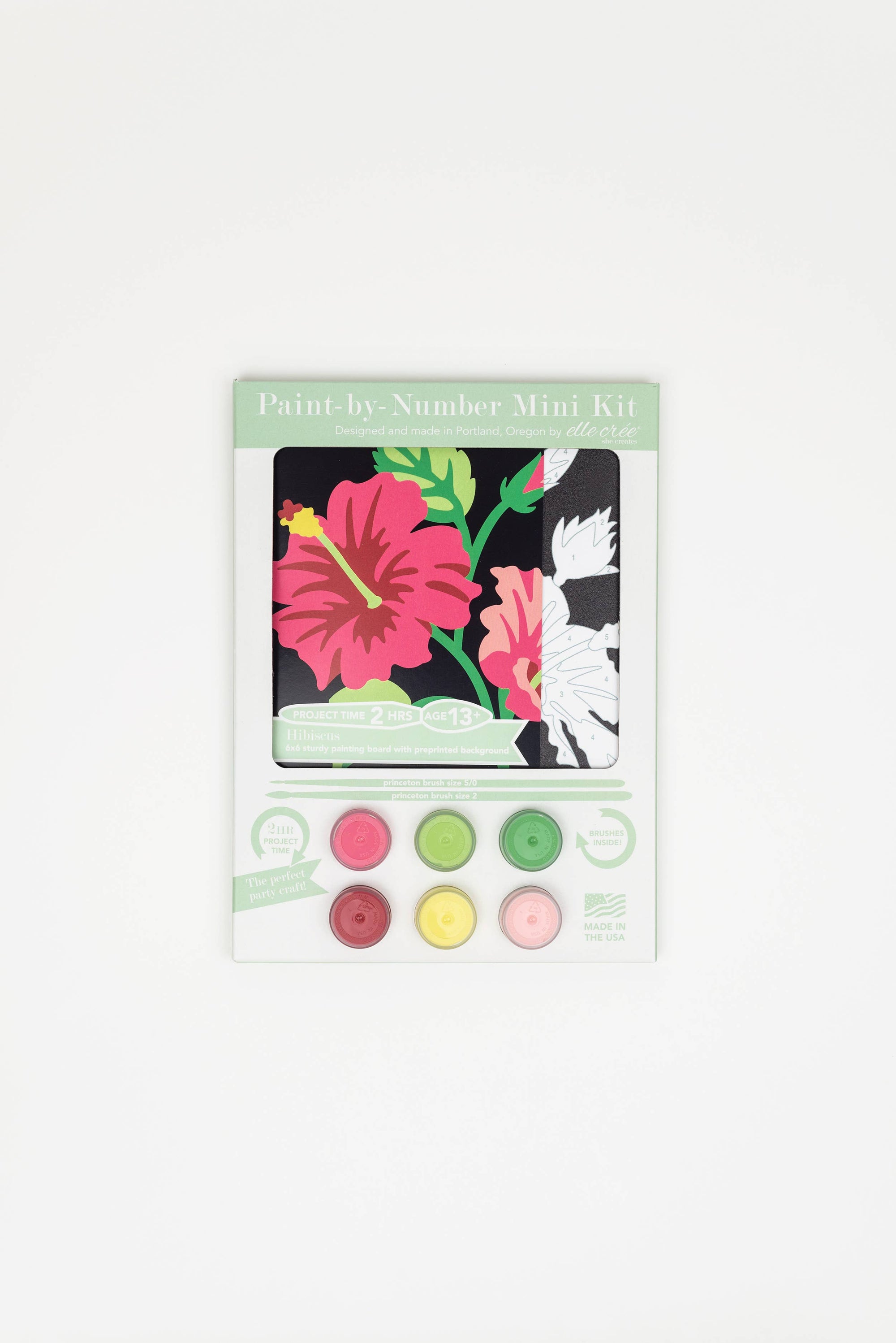 Hibiscus MINI Paint-by-Number Kit