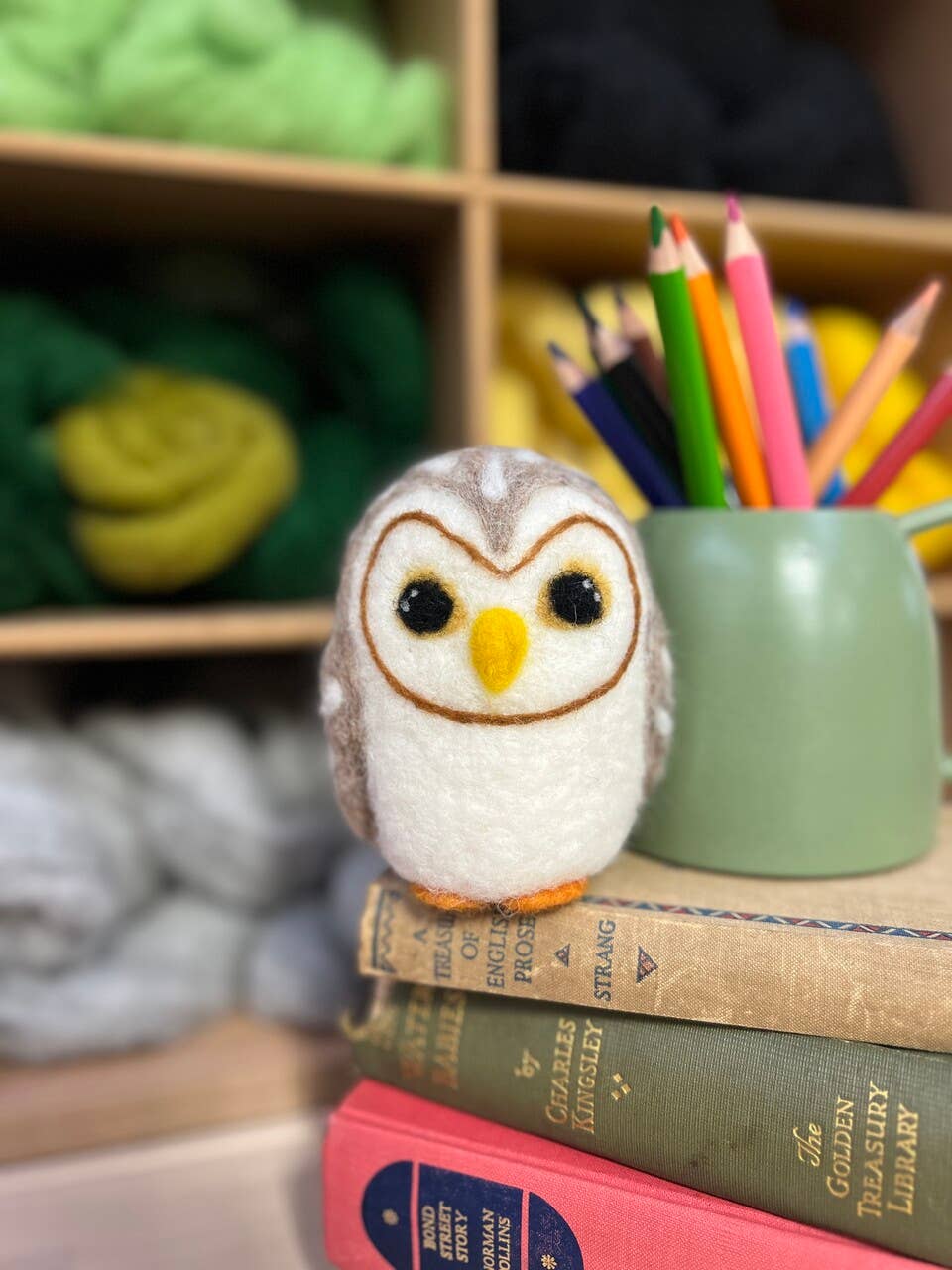 Baby Owl Needle Felting Craft Kit