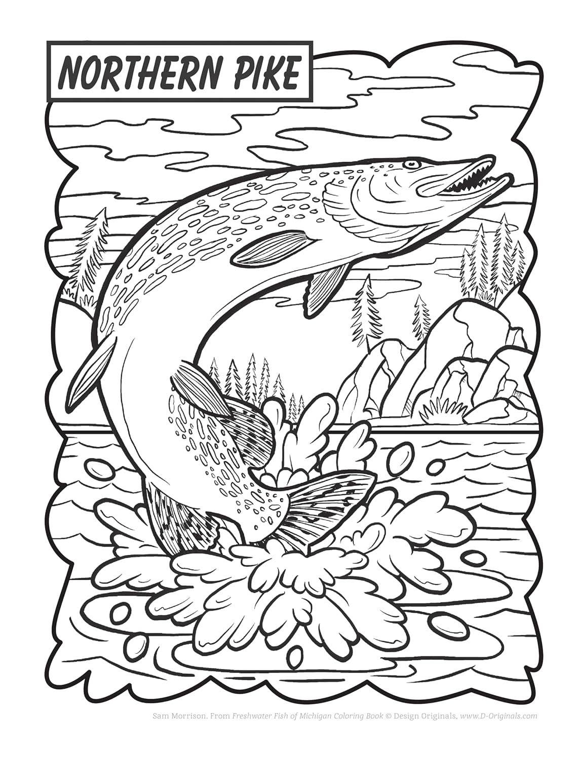 Freshwater Fish of Michigan Coloring Book