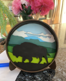 Bison Kit Shadow Box Kit