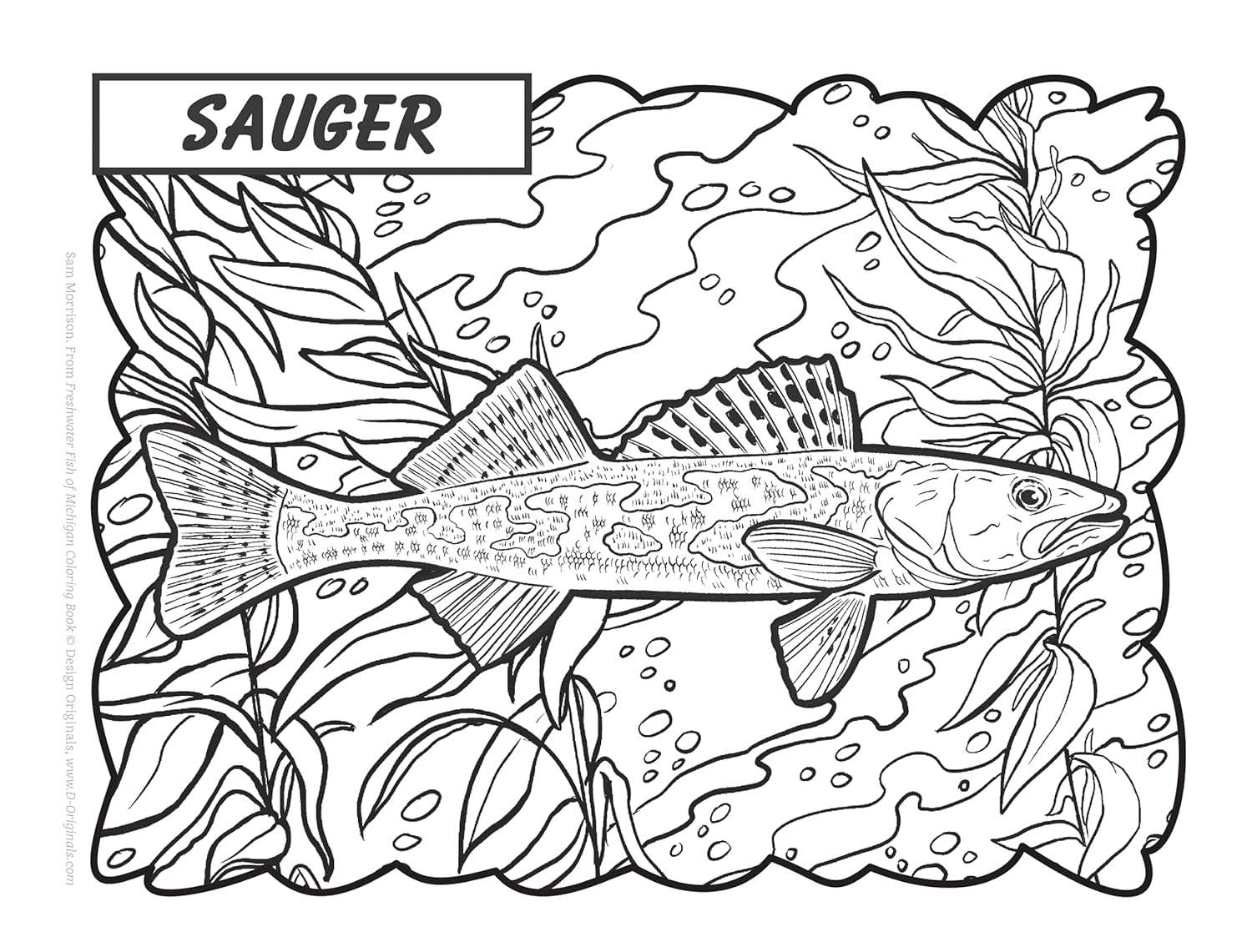 Freshwater Fish of Michigan Coloring Book