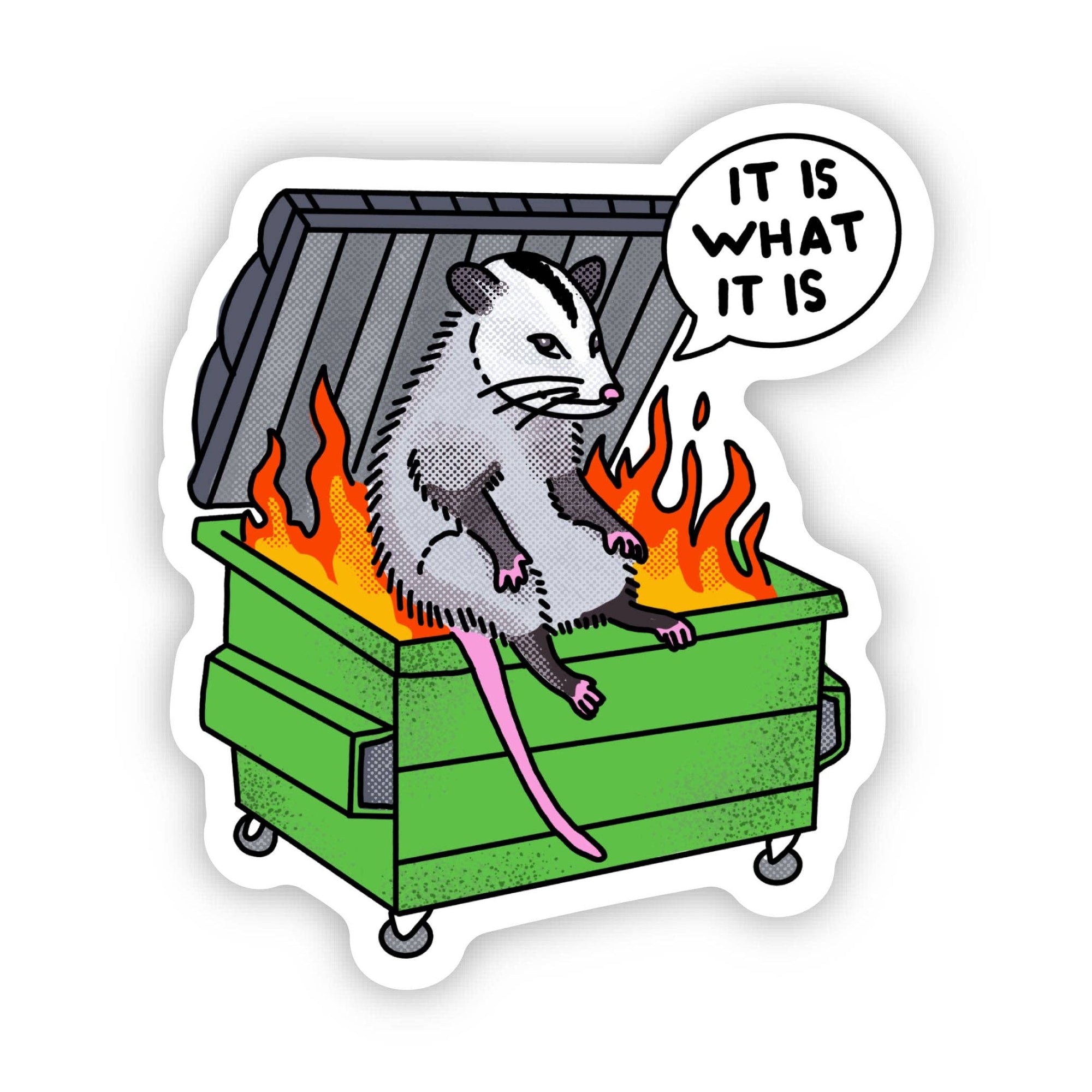 &quot;It is what it is&quot; Possum Dumpster Fire Sticker