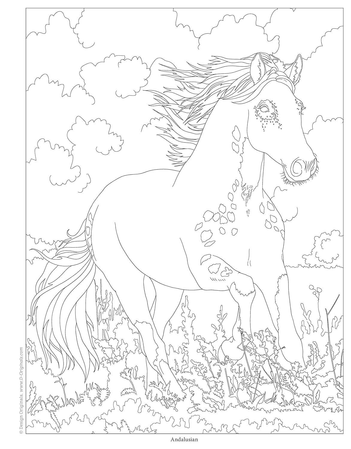 Horses Coloring Book