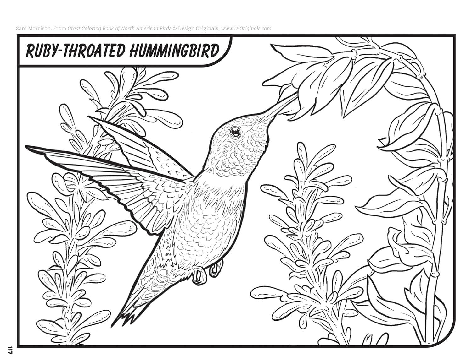 Great Coloring Book of North American Birds-144 Packed Pages
