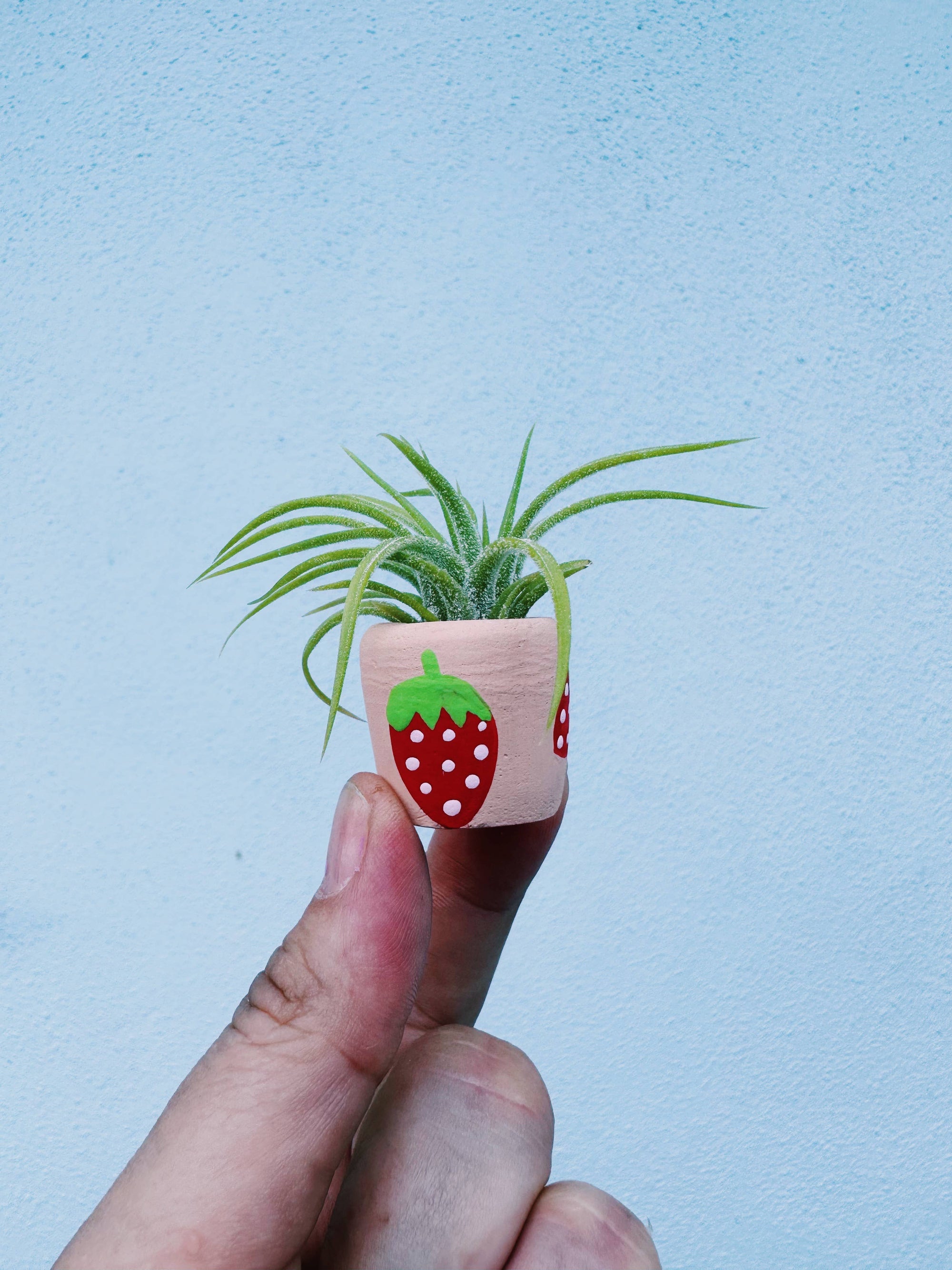 Berry Cute Mini Plant Pot with Plant