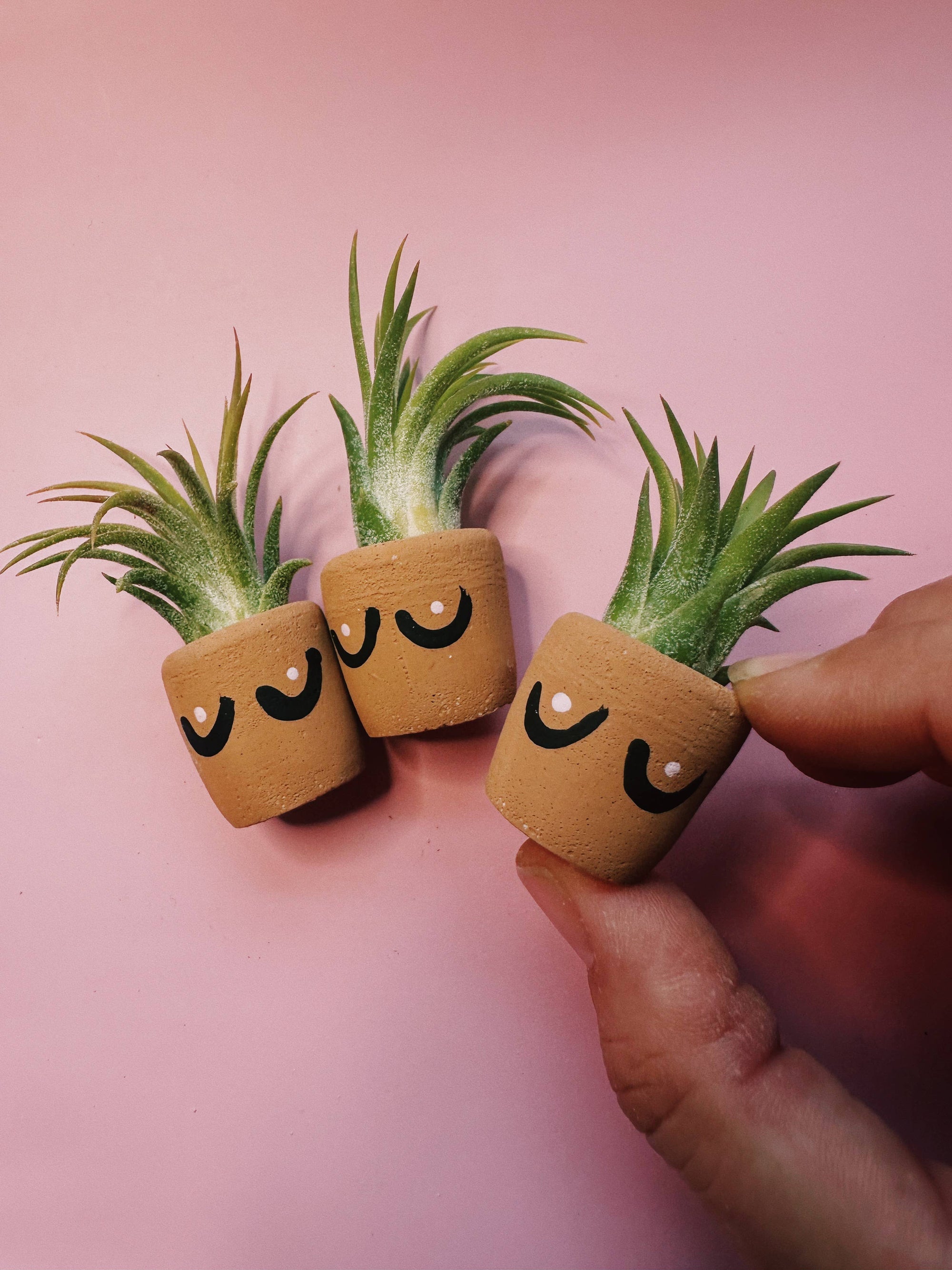 Boob Pot Mini Plant Pot with Plant