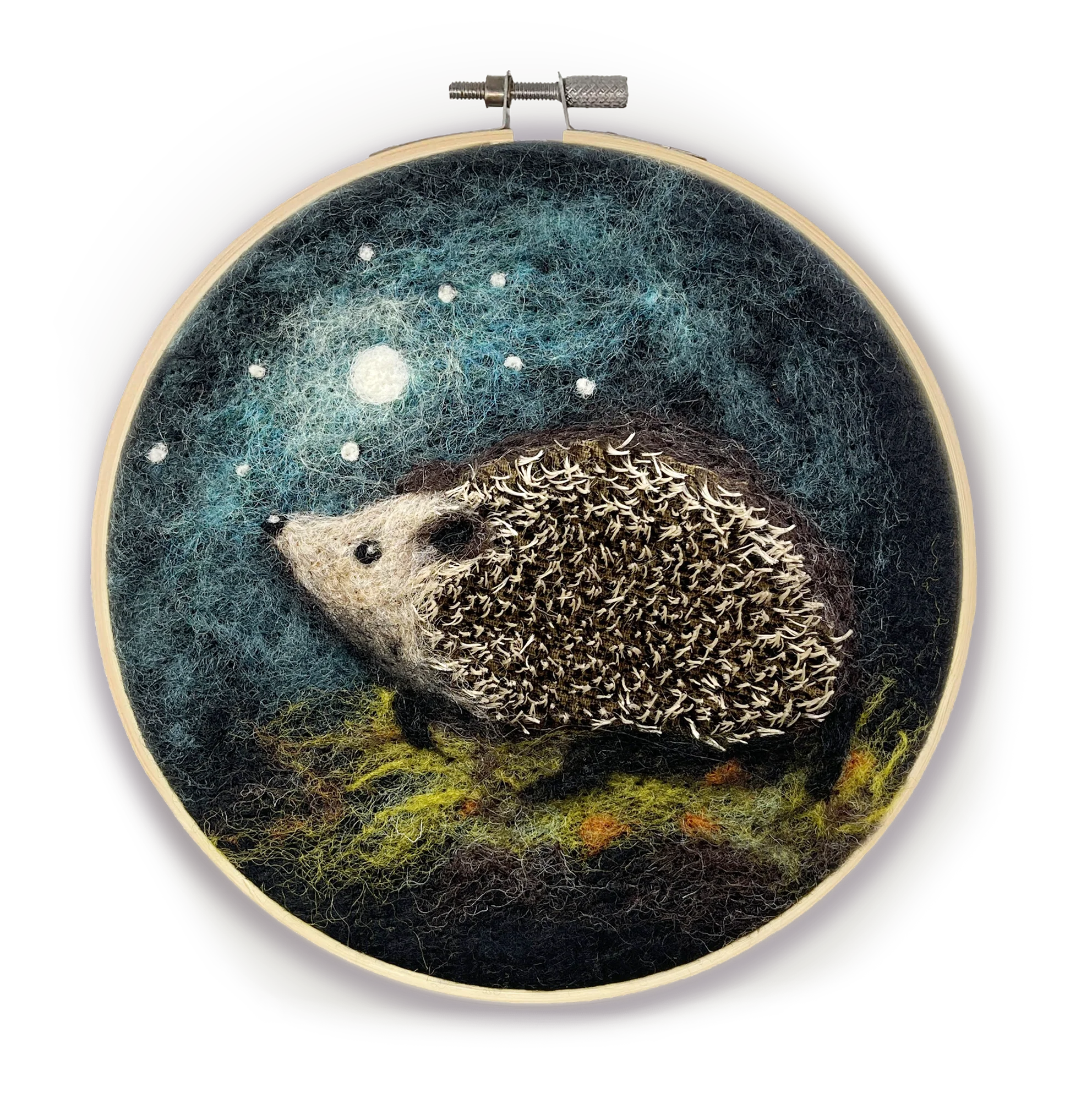 Needle Felting Kit Class