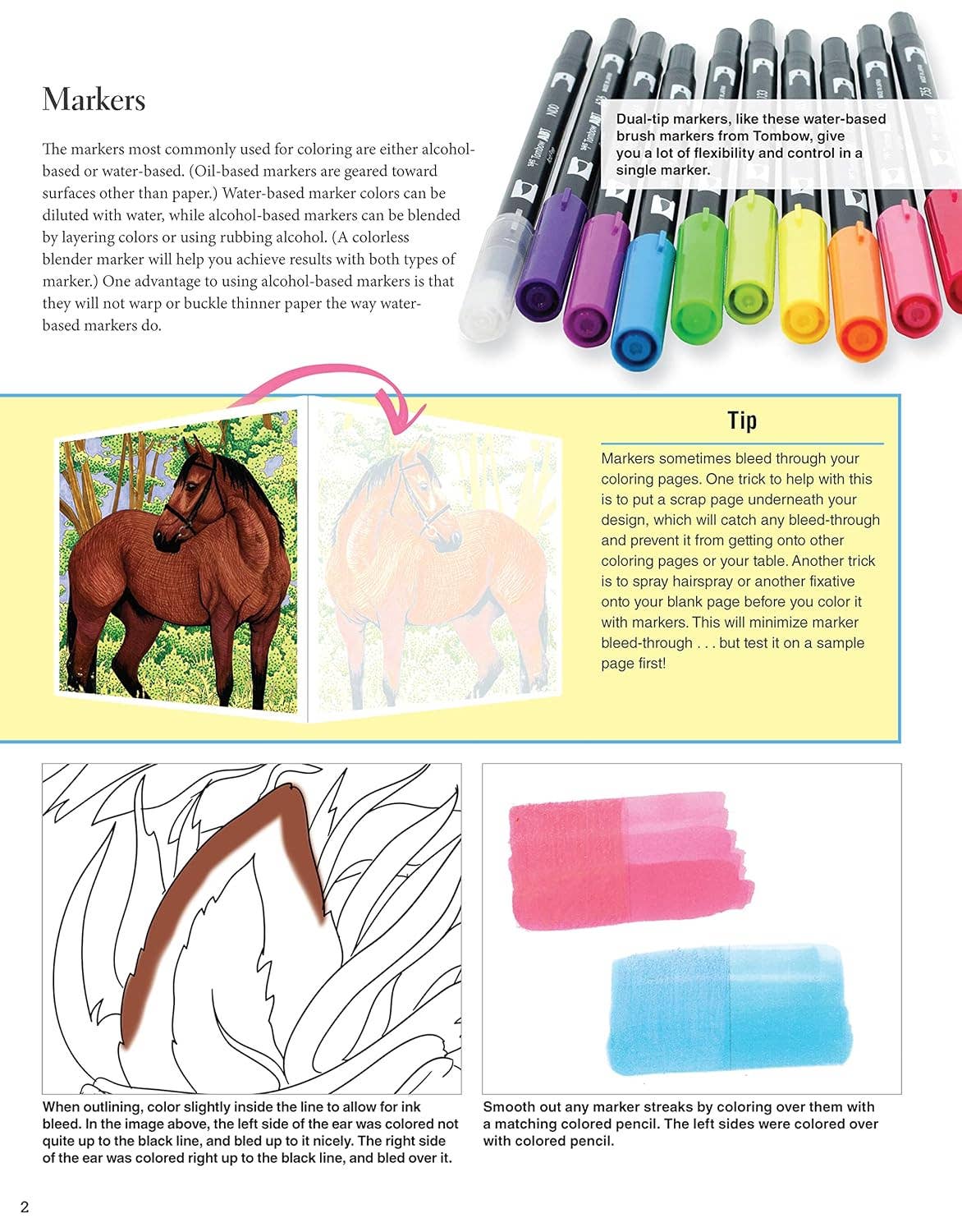 Horses Coloring Book