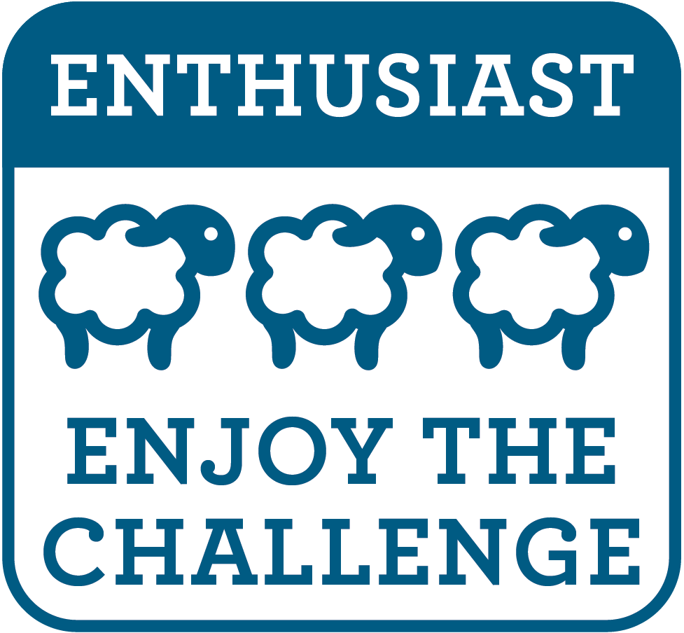 Lion &amp; Cub Needle Felting Kit