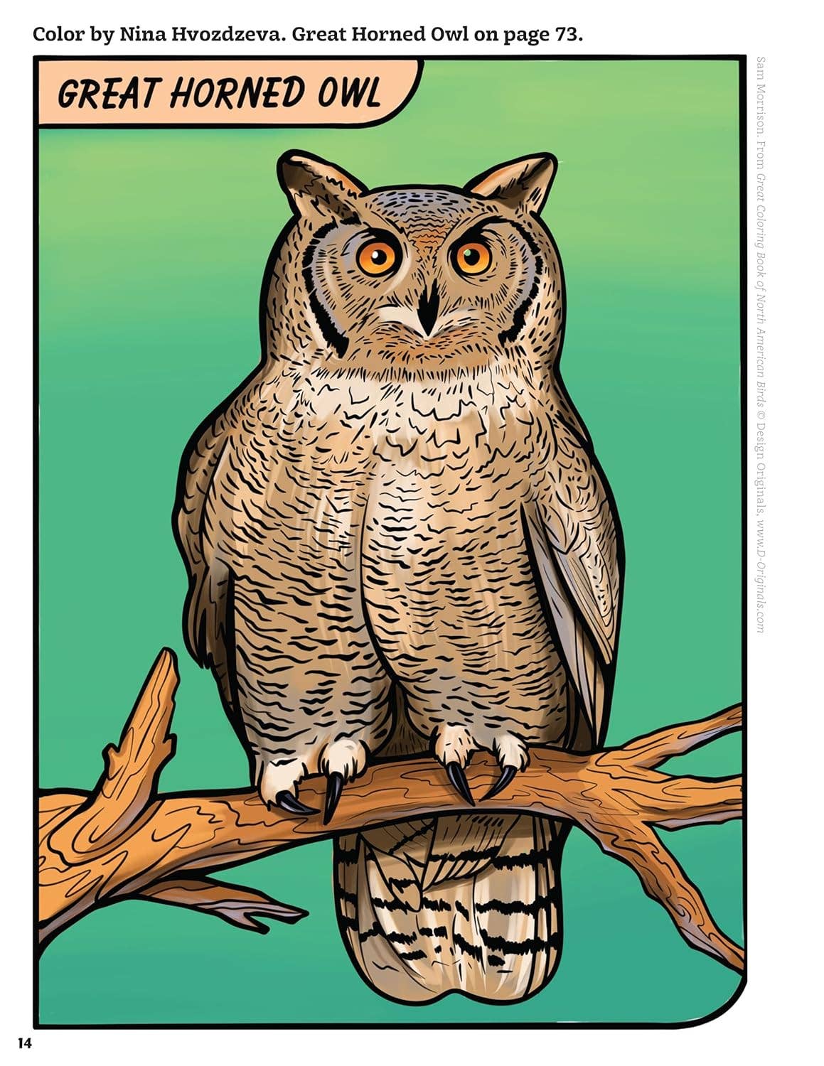 Great Coloring Book of North American Birds-144 Packed Pages