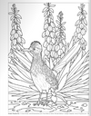 Birds at Home Coloring Book