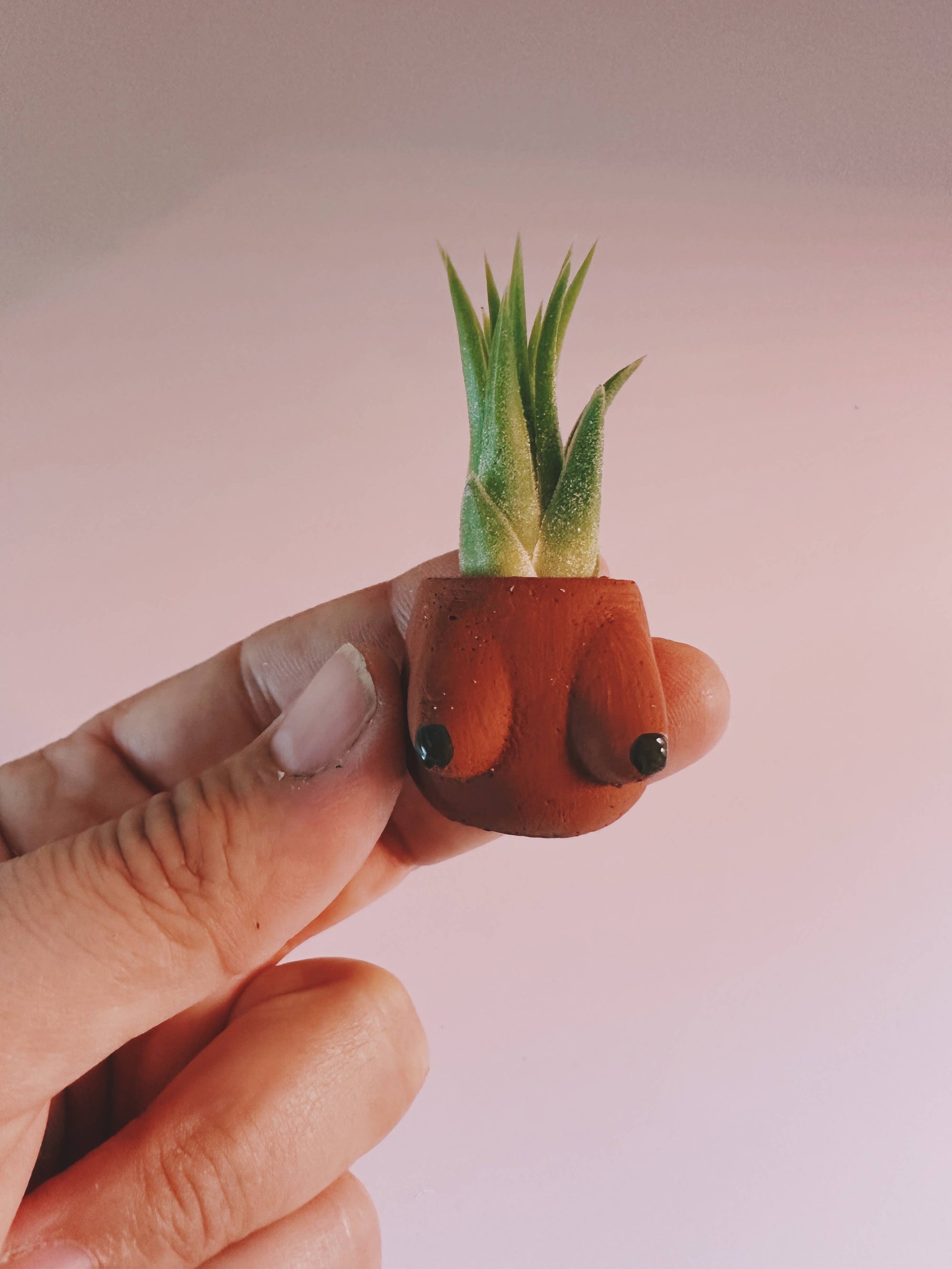 Lisa Boob Pot Mini Planter and Air Plant