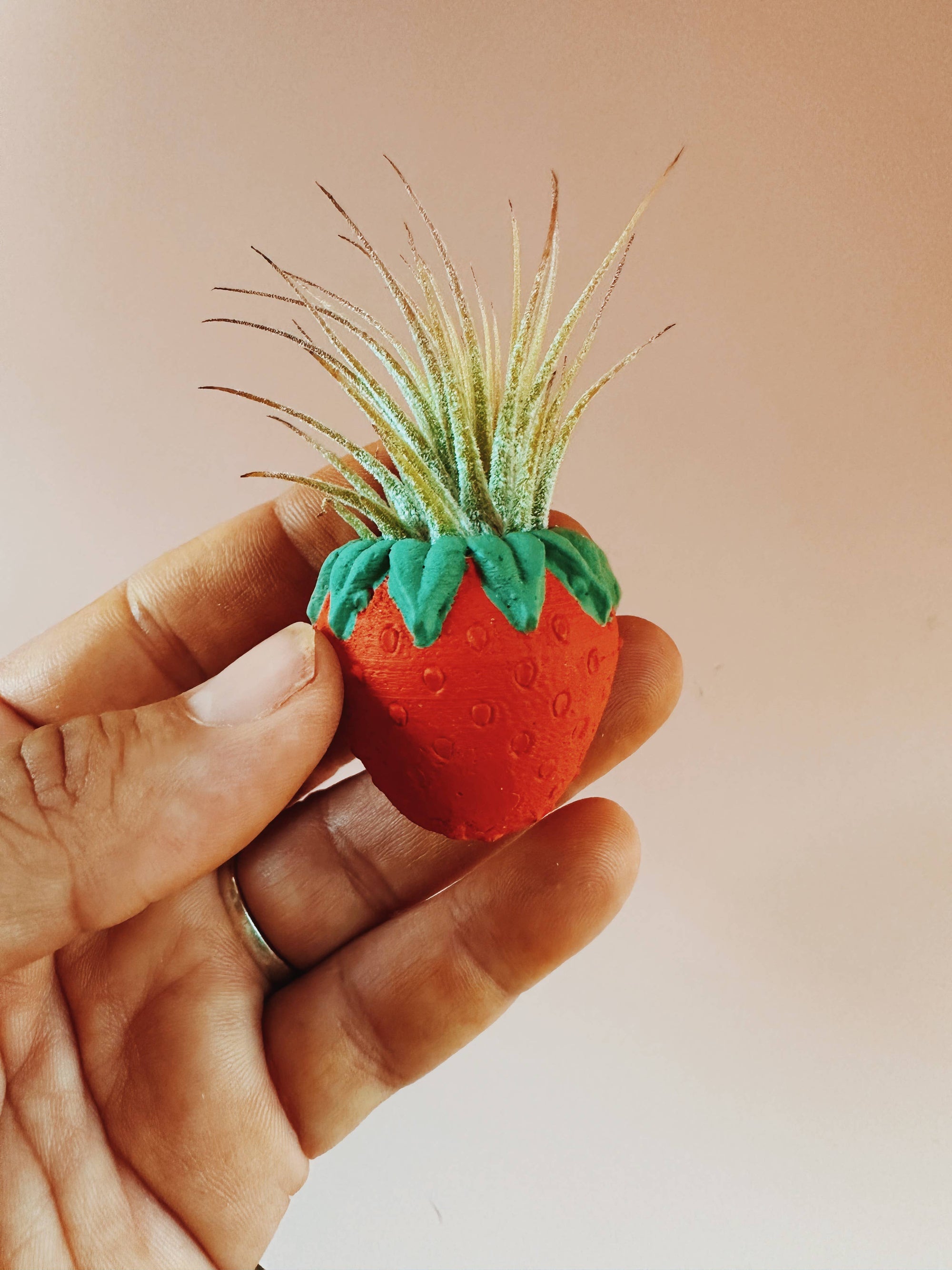 Red Strawberry Patch Mini Planter and Air Plant