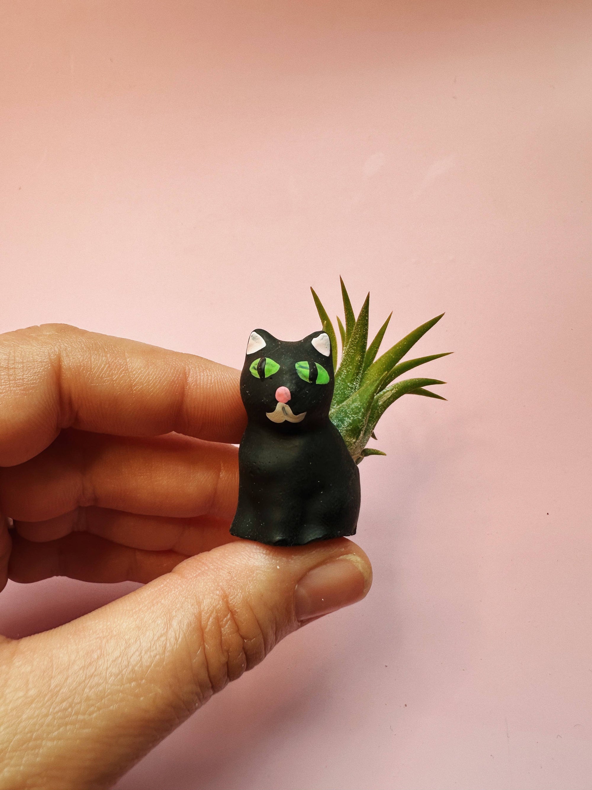 Black Curio Cat Mini Plant Pot with Plant