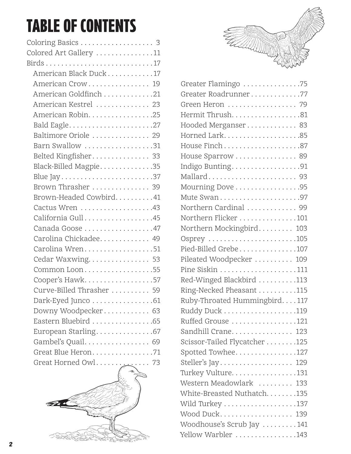 Great Coloring Book of North American Birds-144 Packed Pages