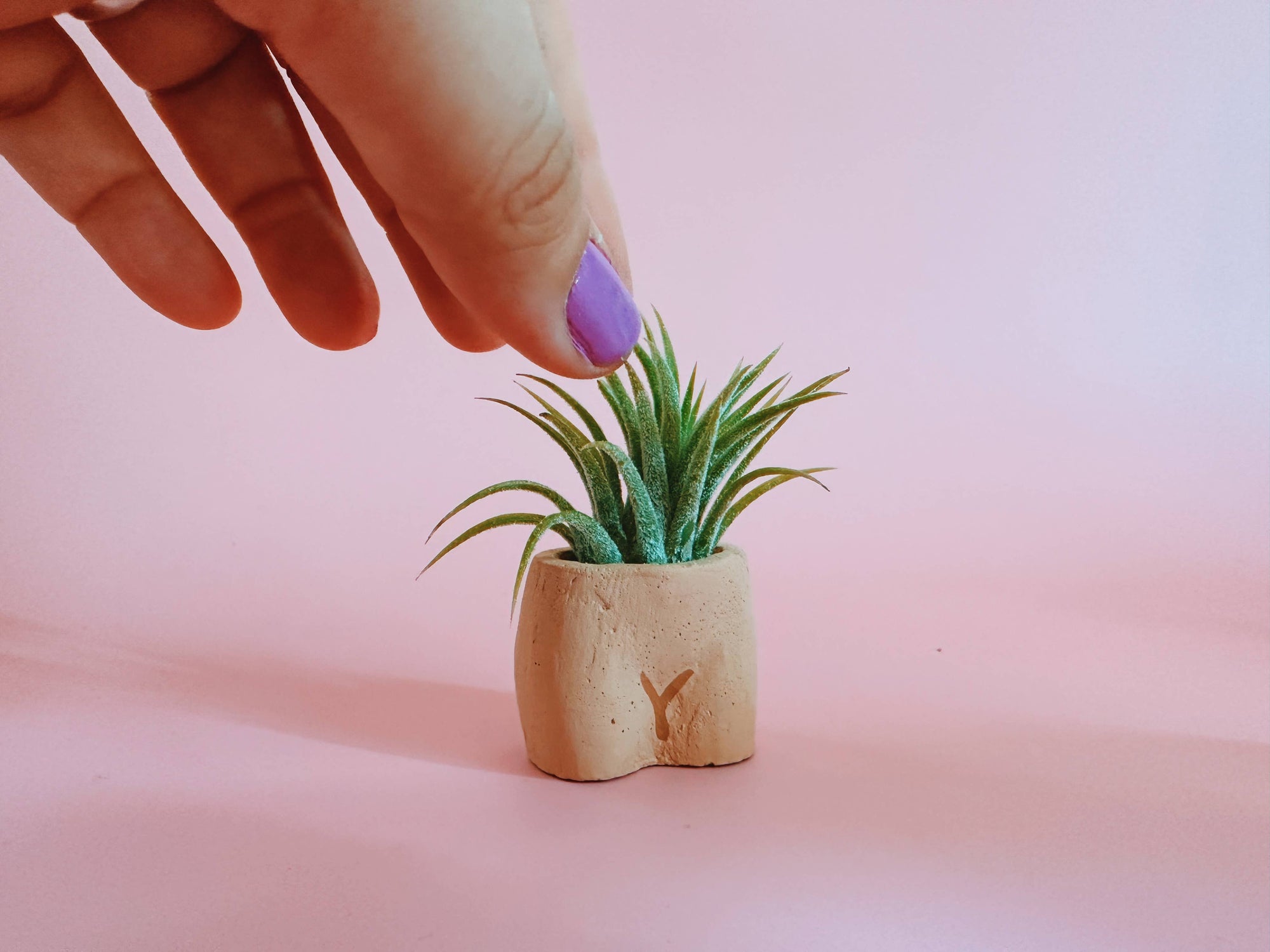 In the Nude Mini Planter with Air Plant