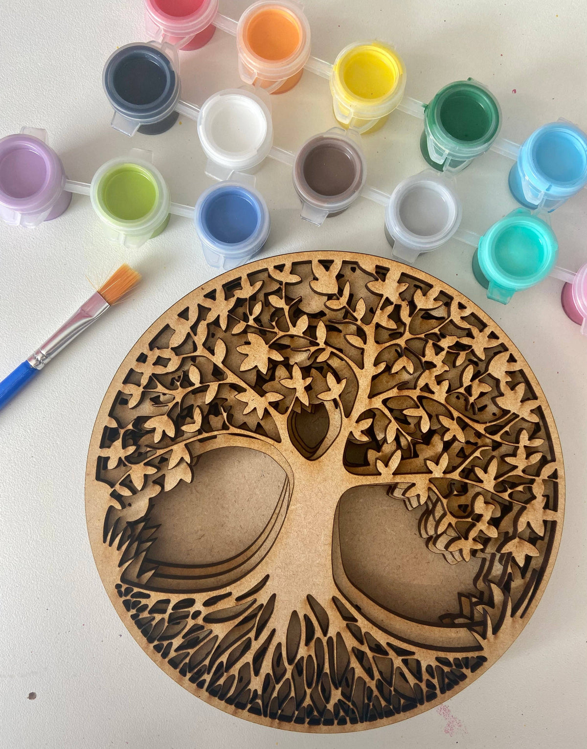 Tree of Life Kit Shadow Box Kit