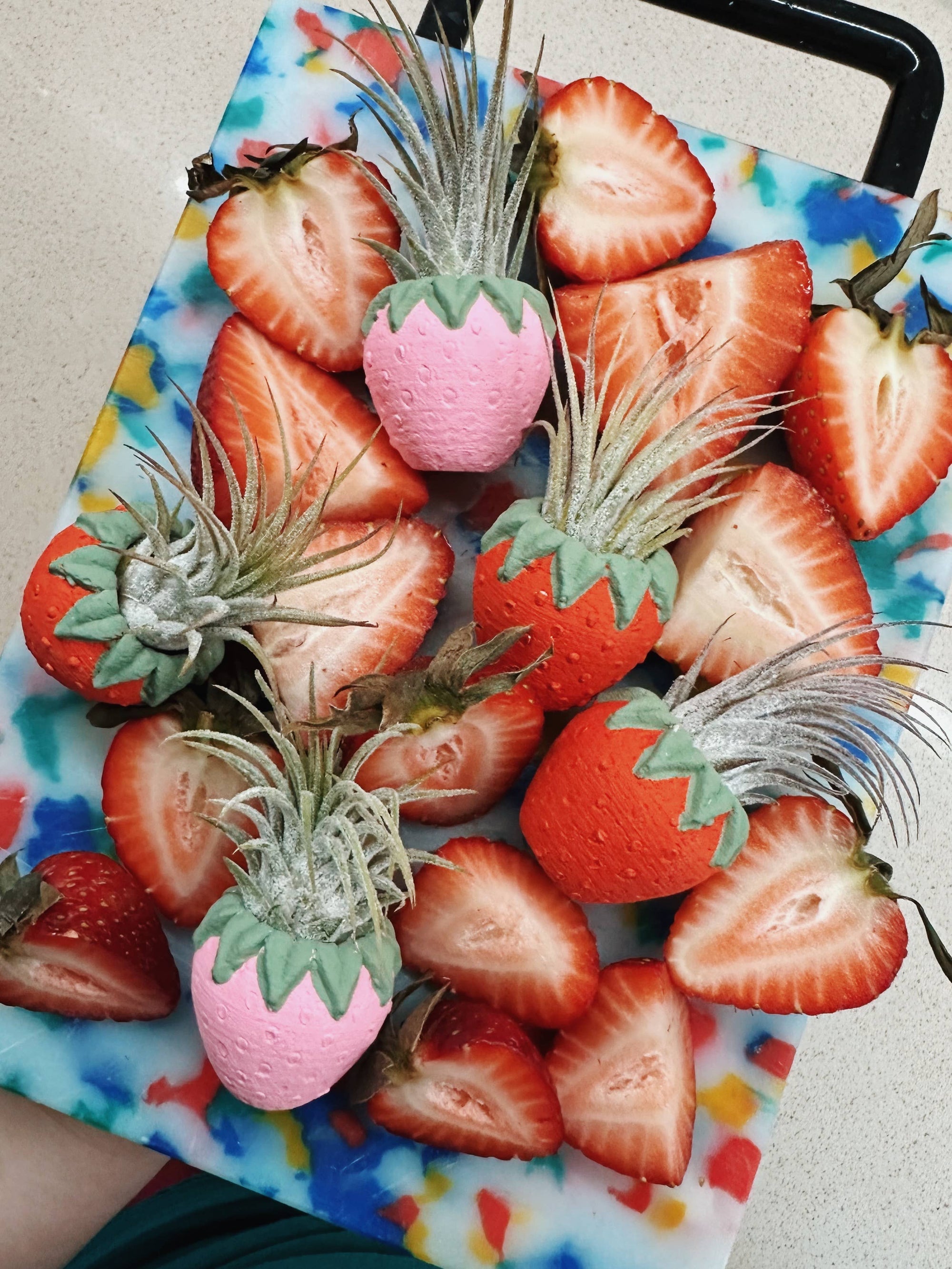 Red Strawberry Patch Mini Planter and Air Plant