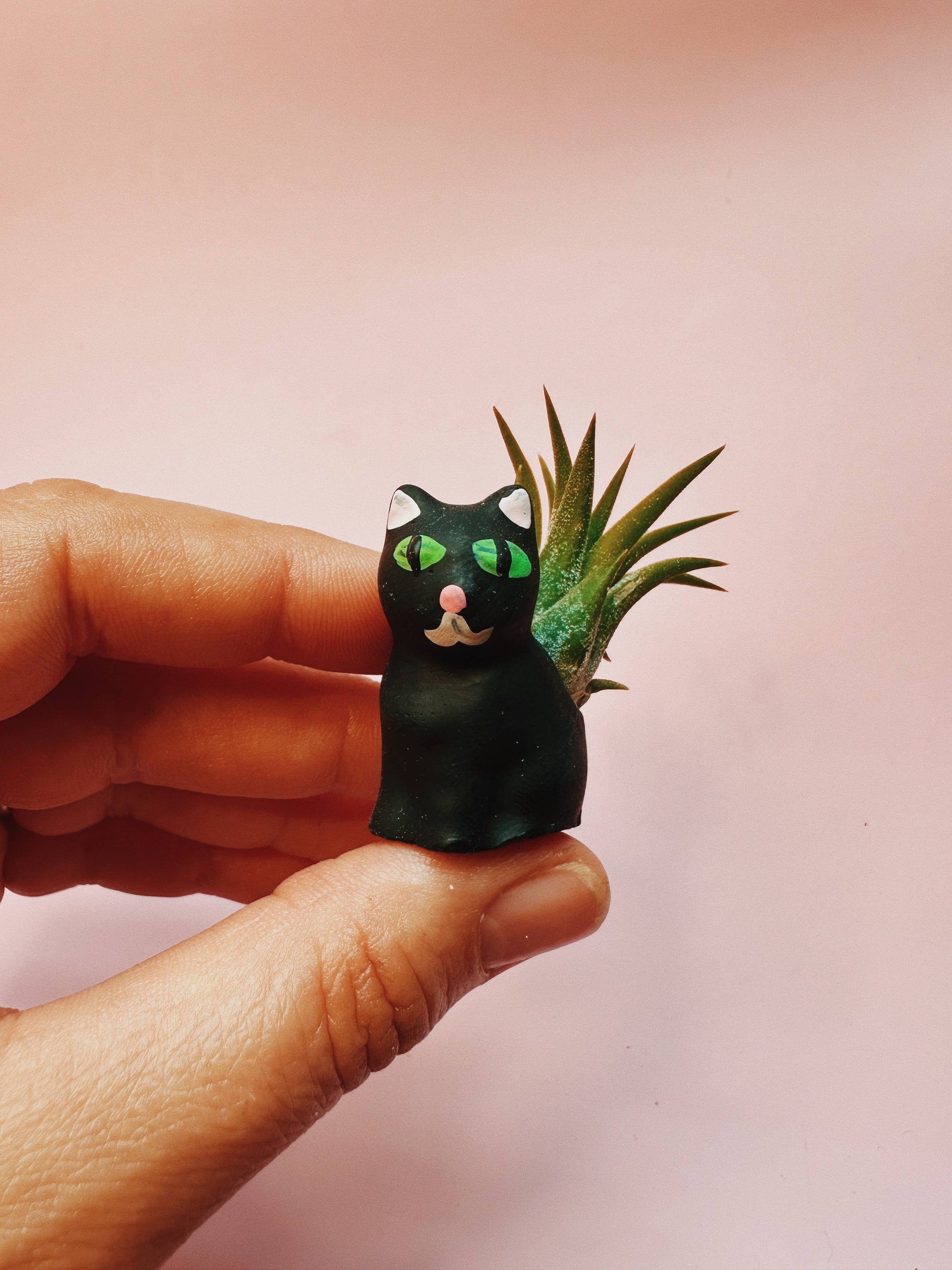 Black Curio Cat Mini Plant Pot with Plant