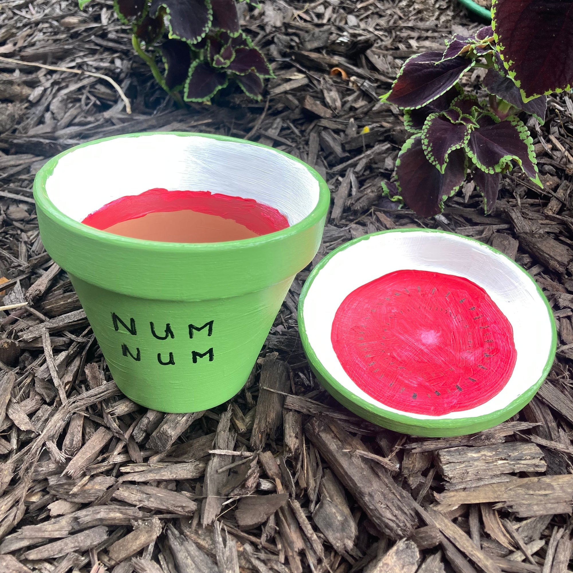 Flower Pot Painting Class