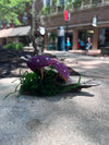 The Doodling Duchess | Driftwood Mushrooms