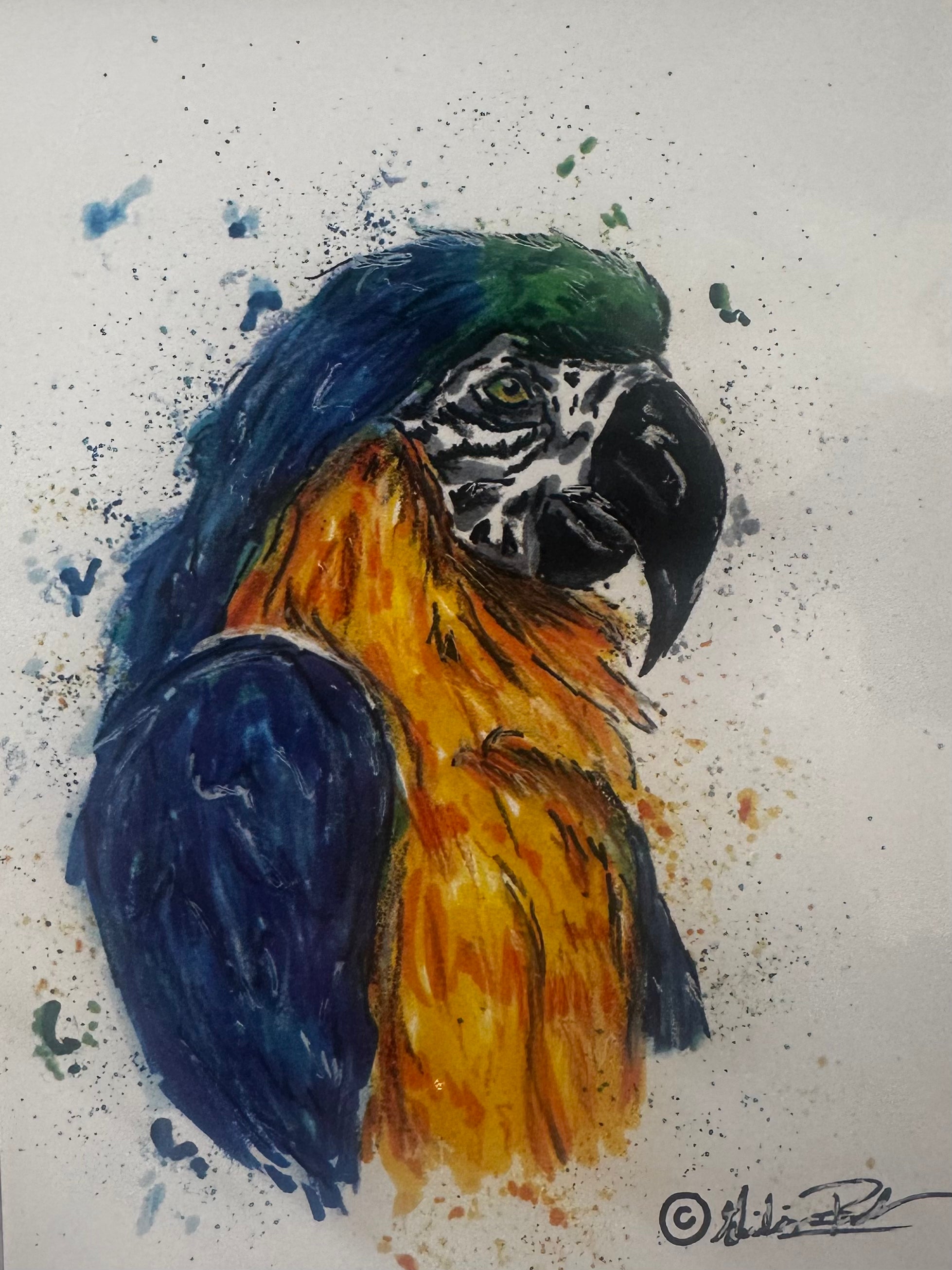Guiliana's Canvas | Small Print