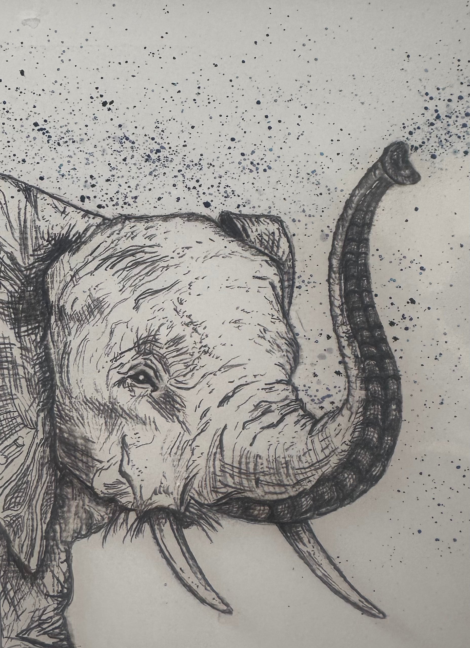 Guiliana's Canvas | Small Print