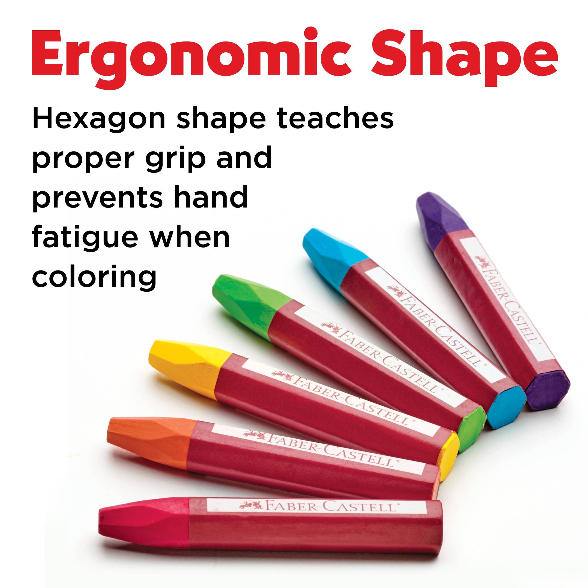 12 Oil Pastels in Storage Case