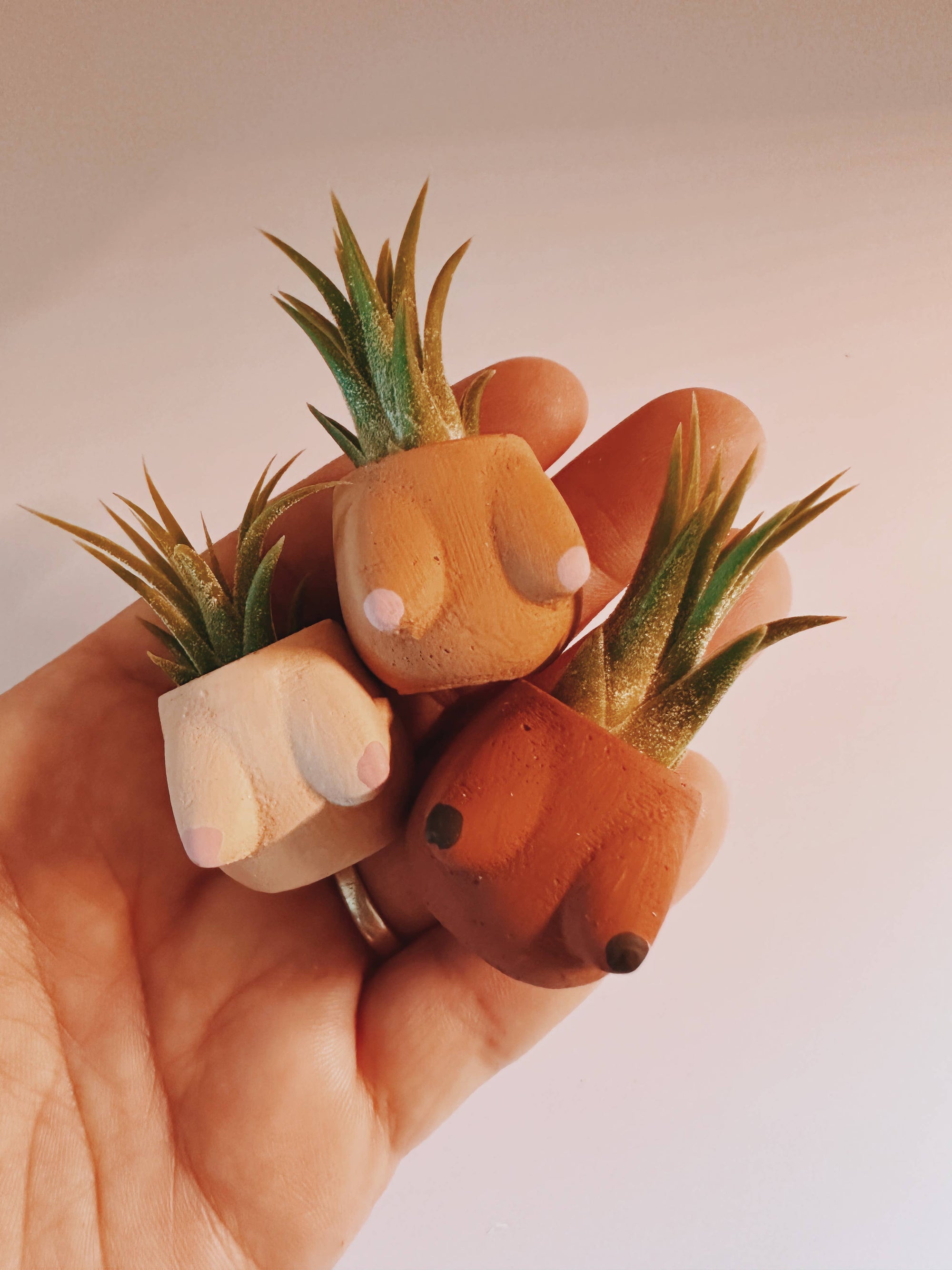 Lisa Boob Pot Mini Planter and Air Plant