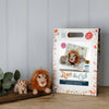Lion &amp; Cub Needle Felting Kit
