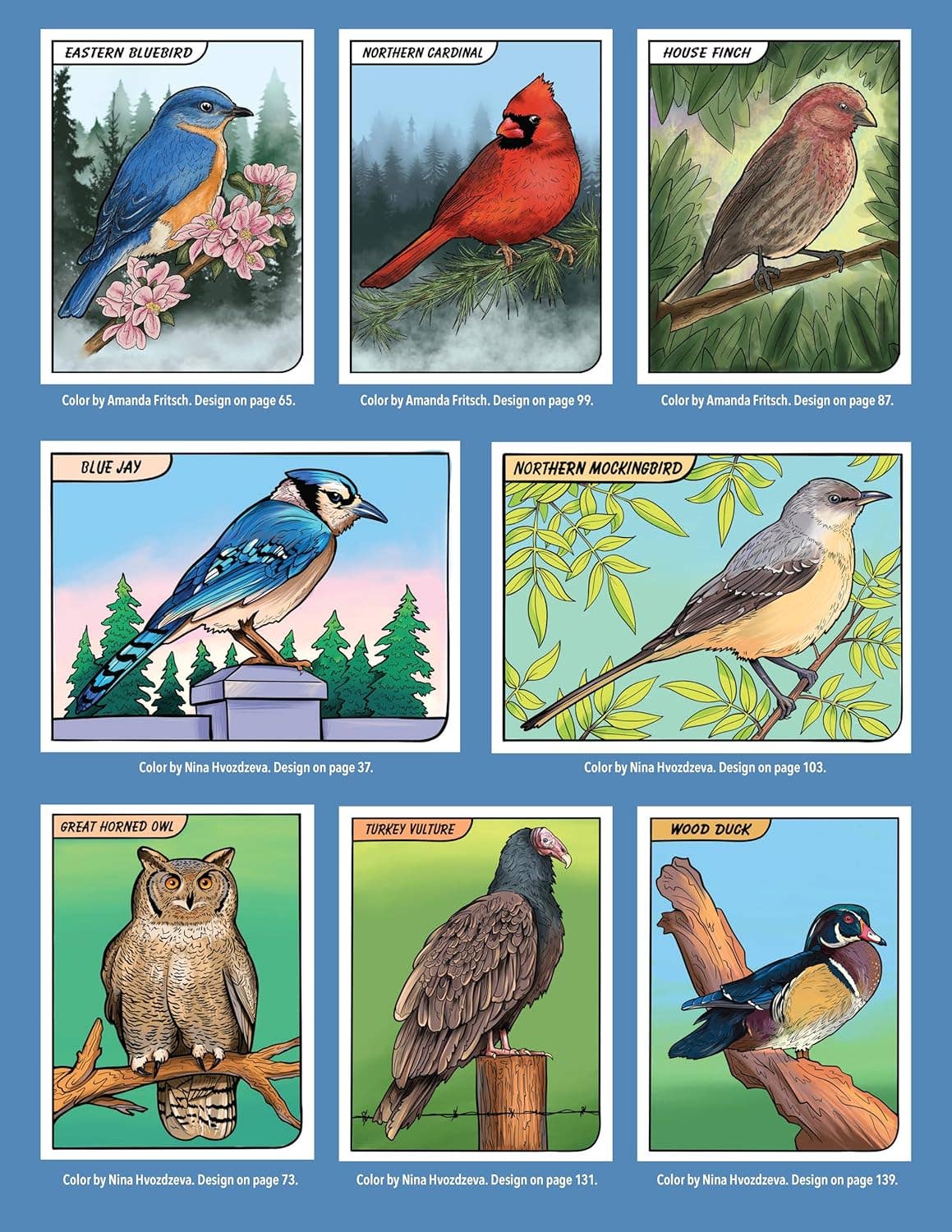Great Coloring Book of North American Birds-144 Packed Pages