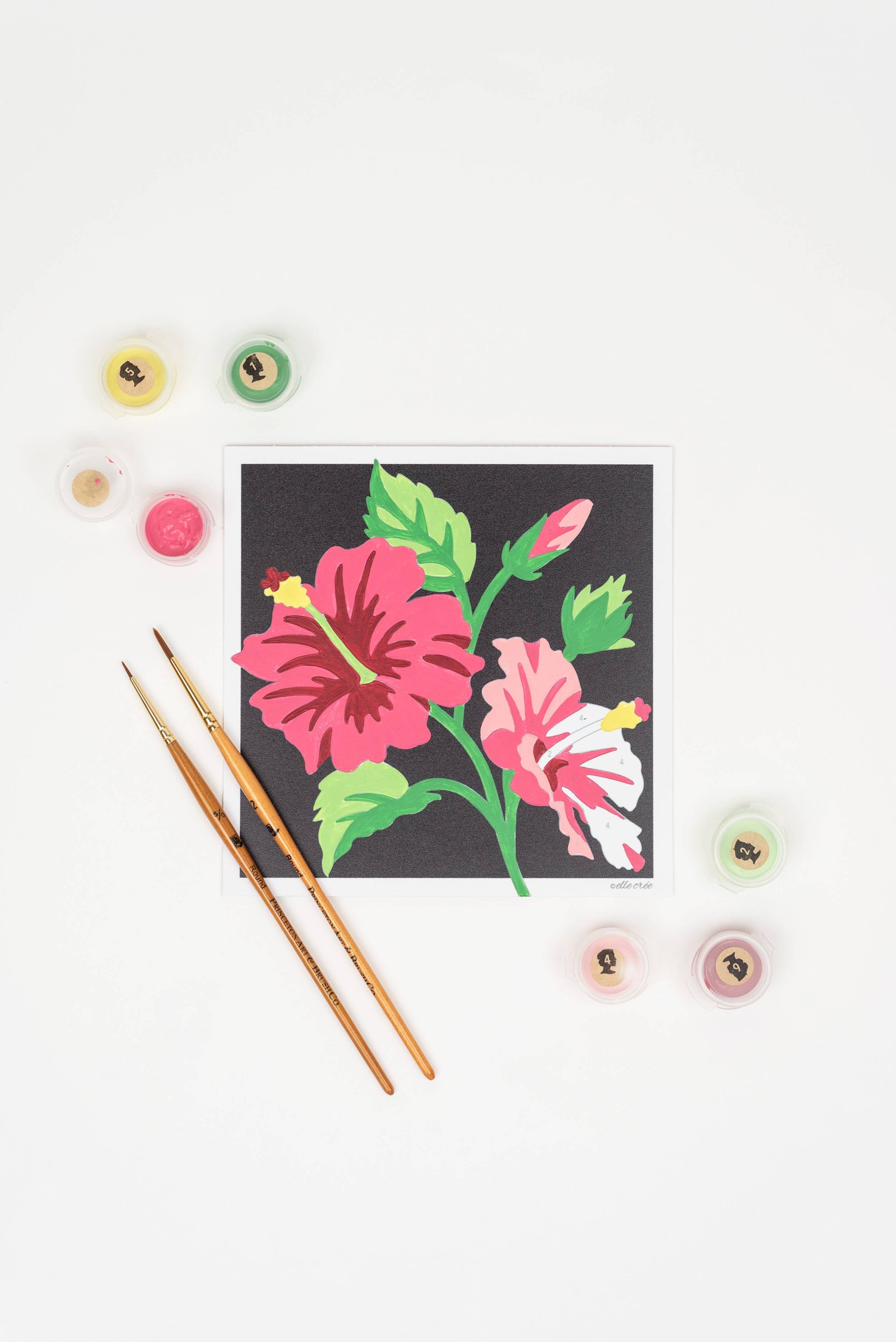 Hibiscus MINI Paint-by-Number Kit
