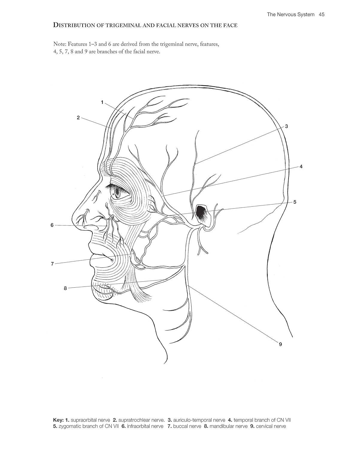 Complete Anatomy Coloring Book