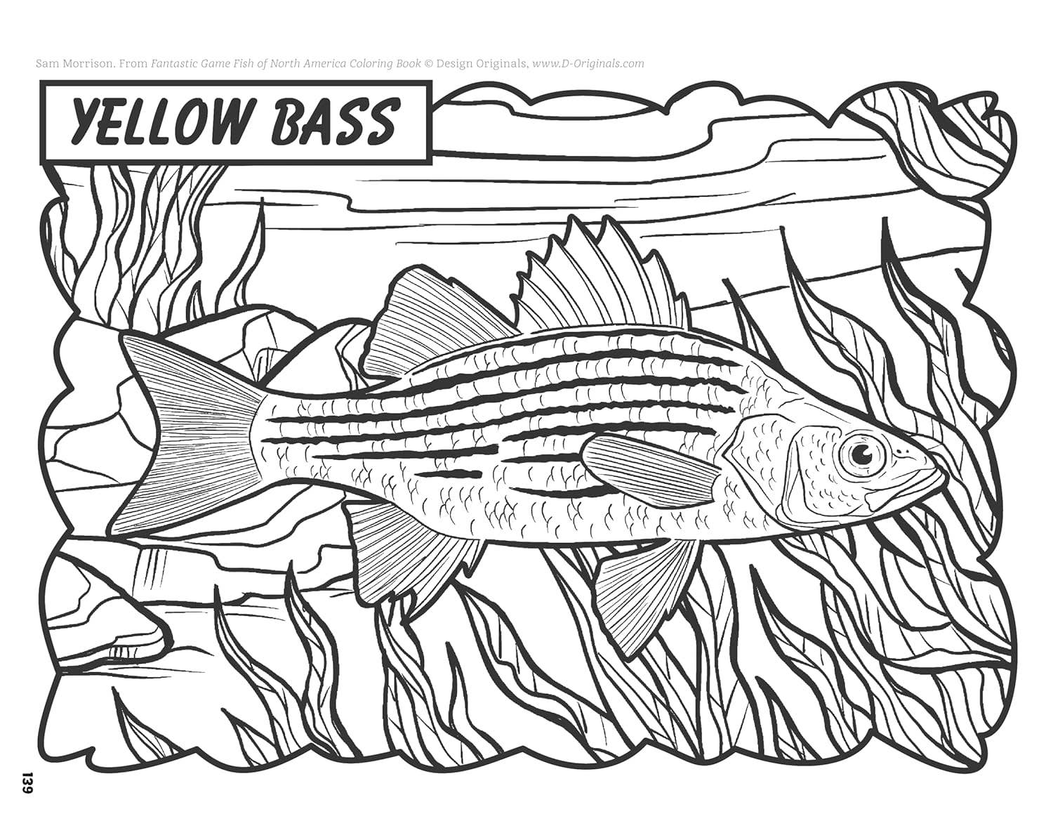 Fantastic Game Fish of North America Coloring Book