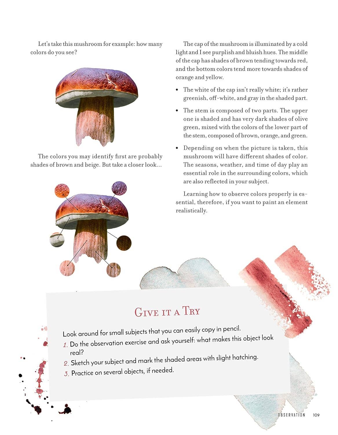 Discovering Watercolor  - 32 Skill Building Projects