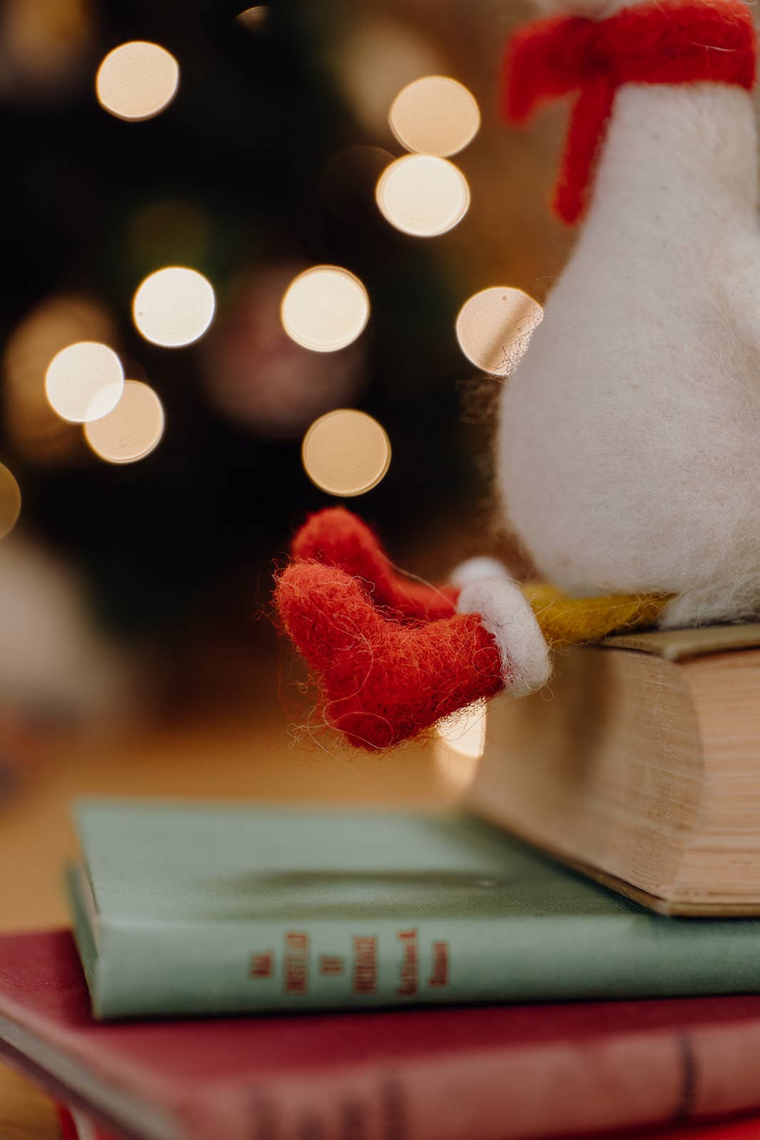 Winter Goose Needle Felting Kit