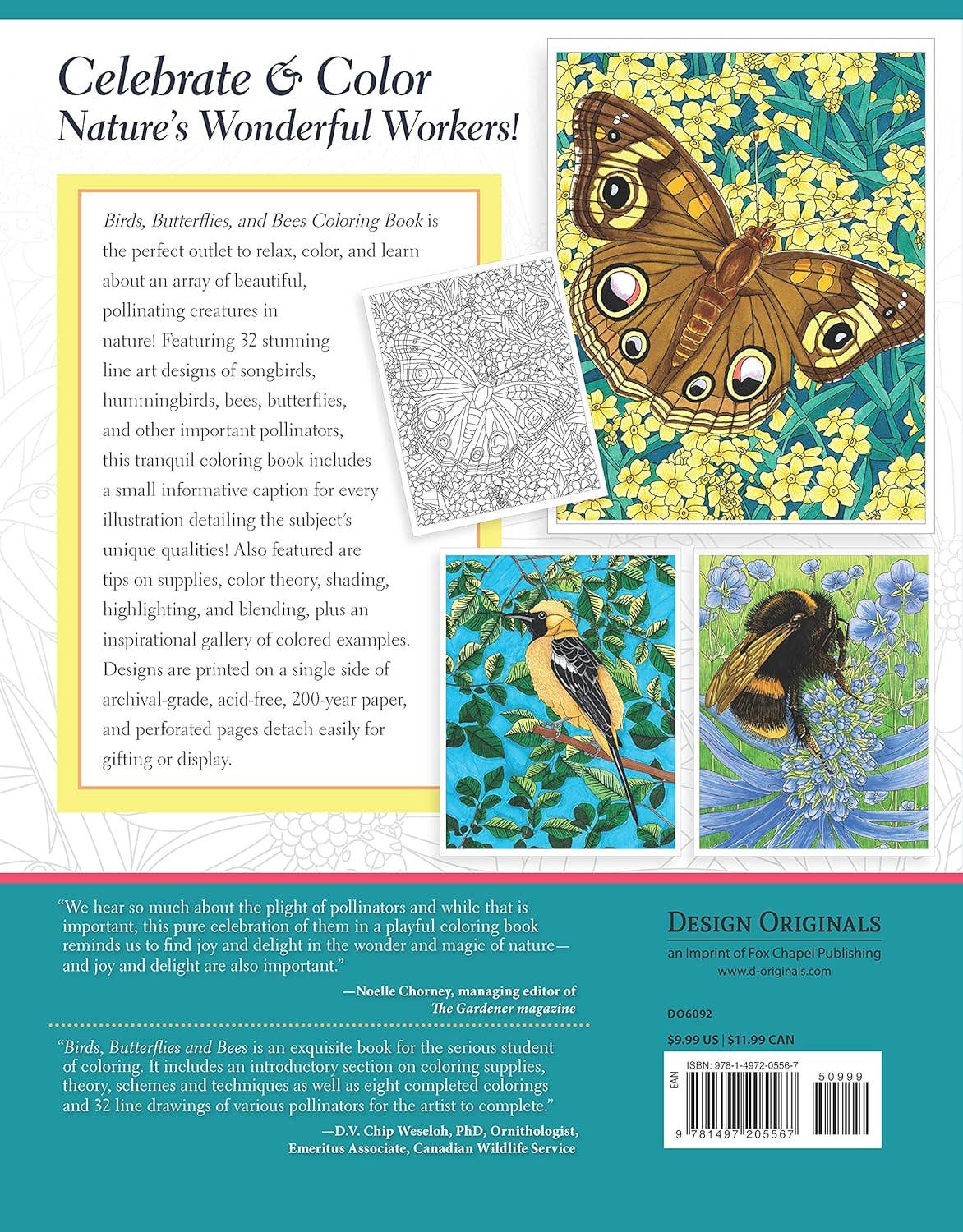 Birds, Butterflies and Bees - A Pollinator Coloring Book