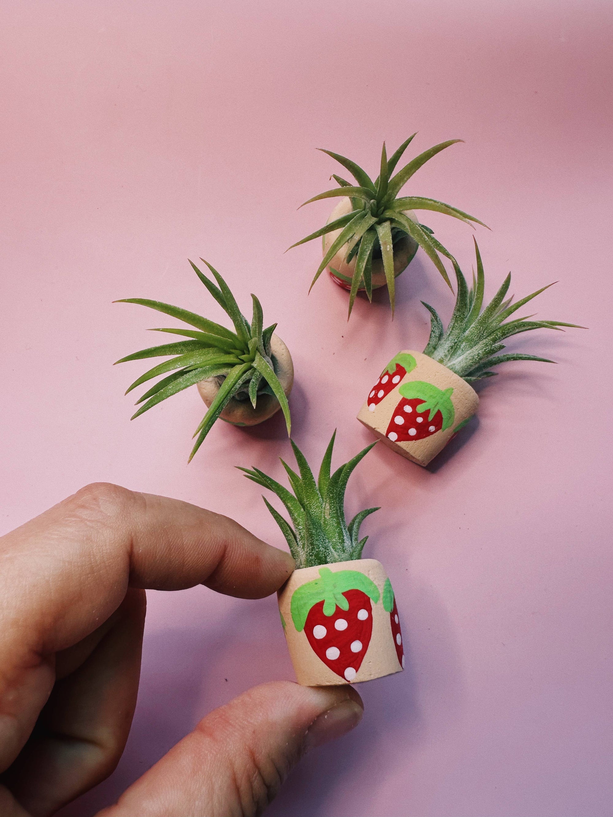 Berry Cute Mini Plant Pot with Plant