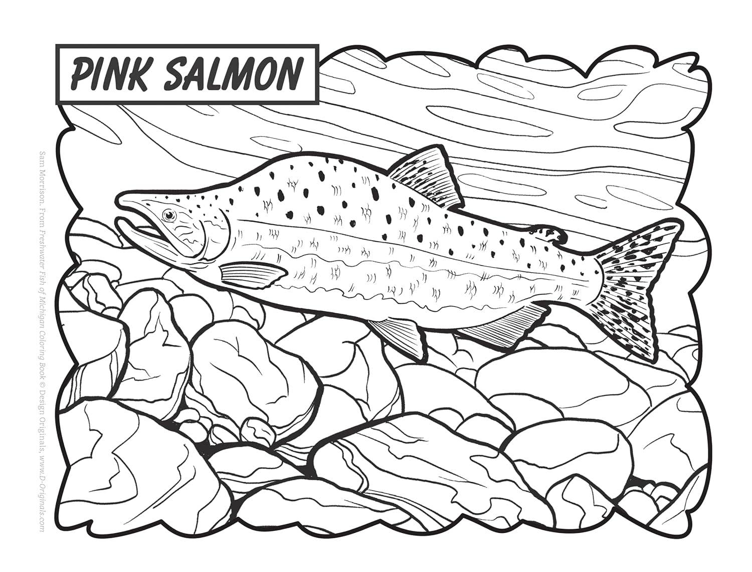 Freshwater Fish of Michigan Coloring Book